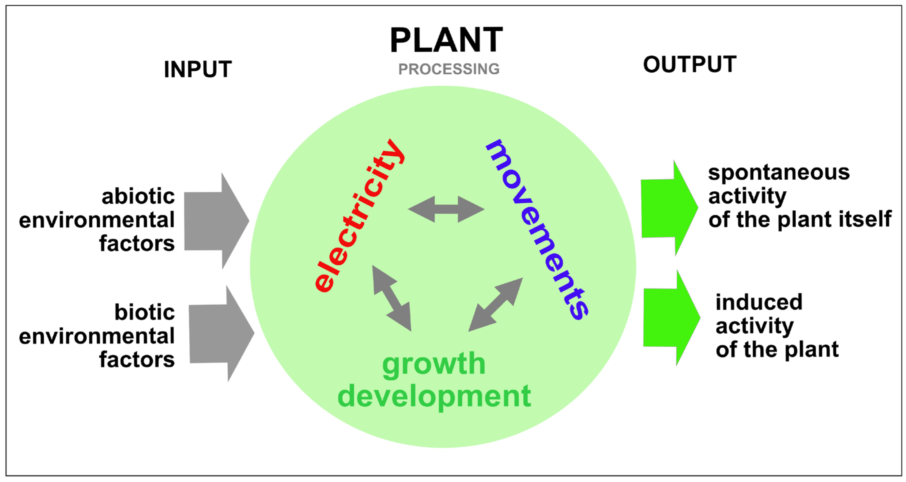 Sustainability 17 05614 g001 Sustainability 17 05614 g001