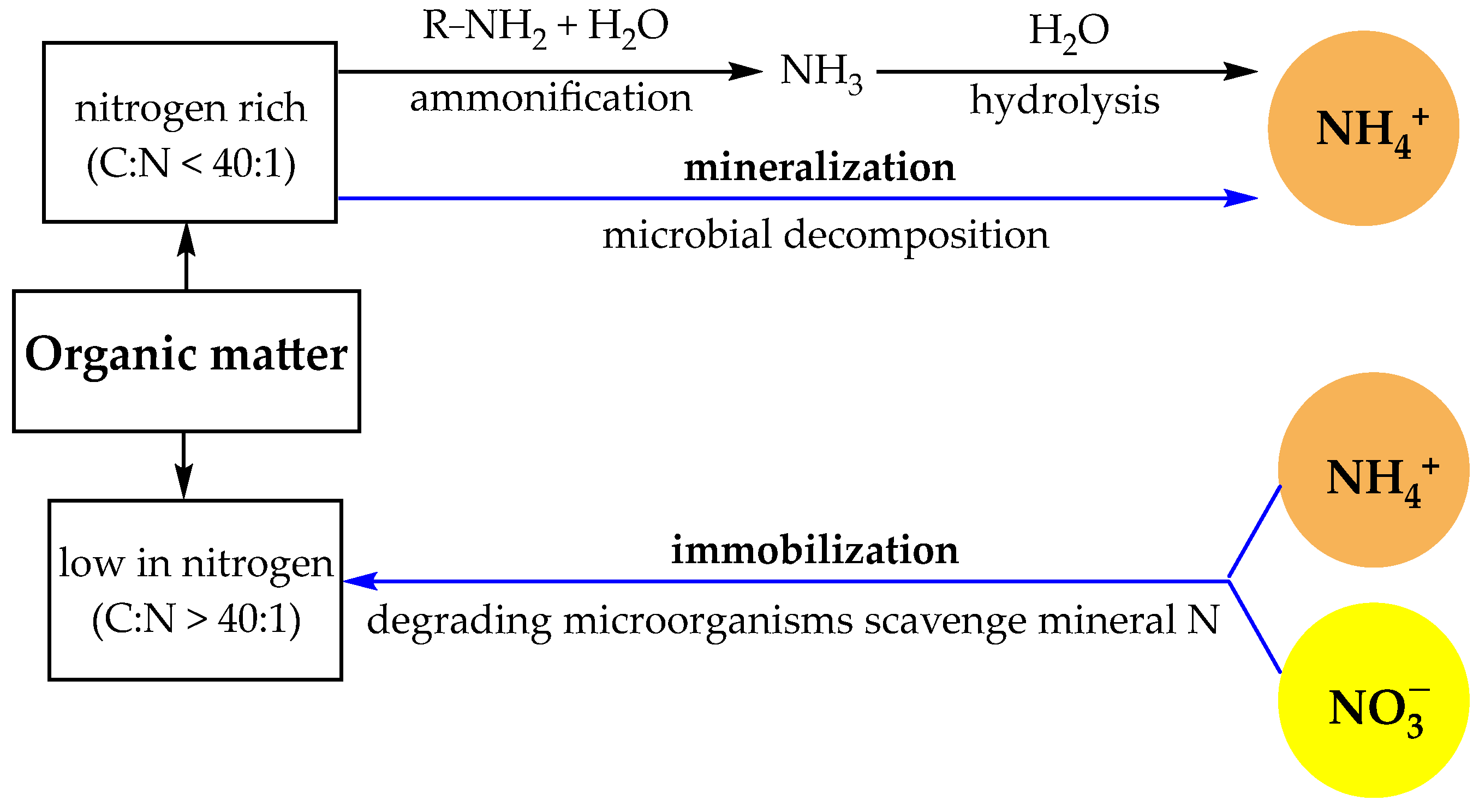 Sustainability 17 05619 g001