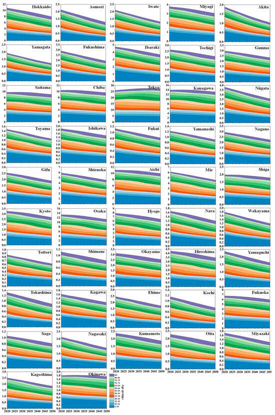 Unequal Paths to Decarbonization in an Aging Society: A