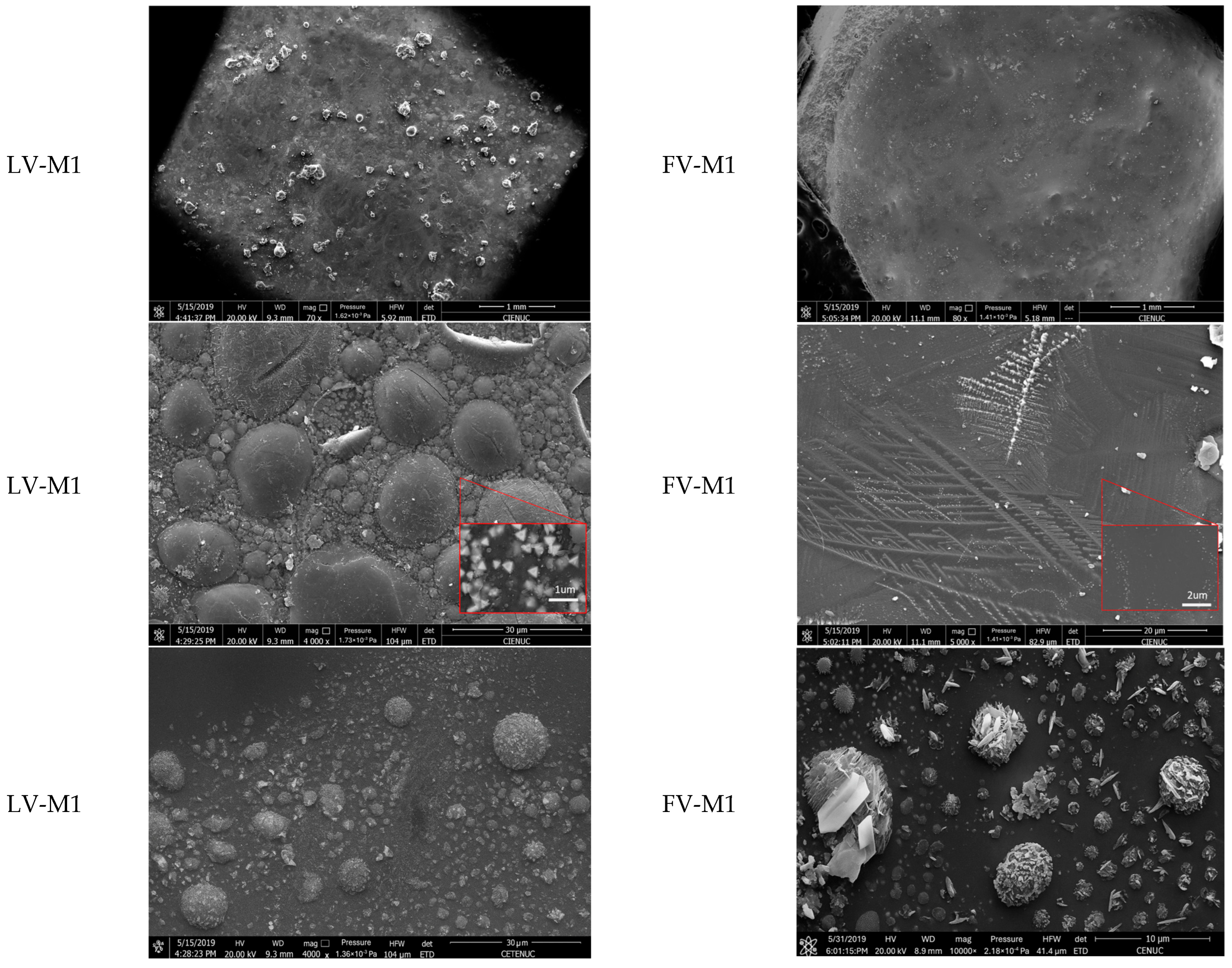 Sustainability 17 05676 g004