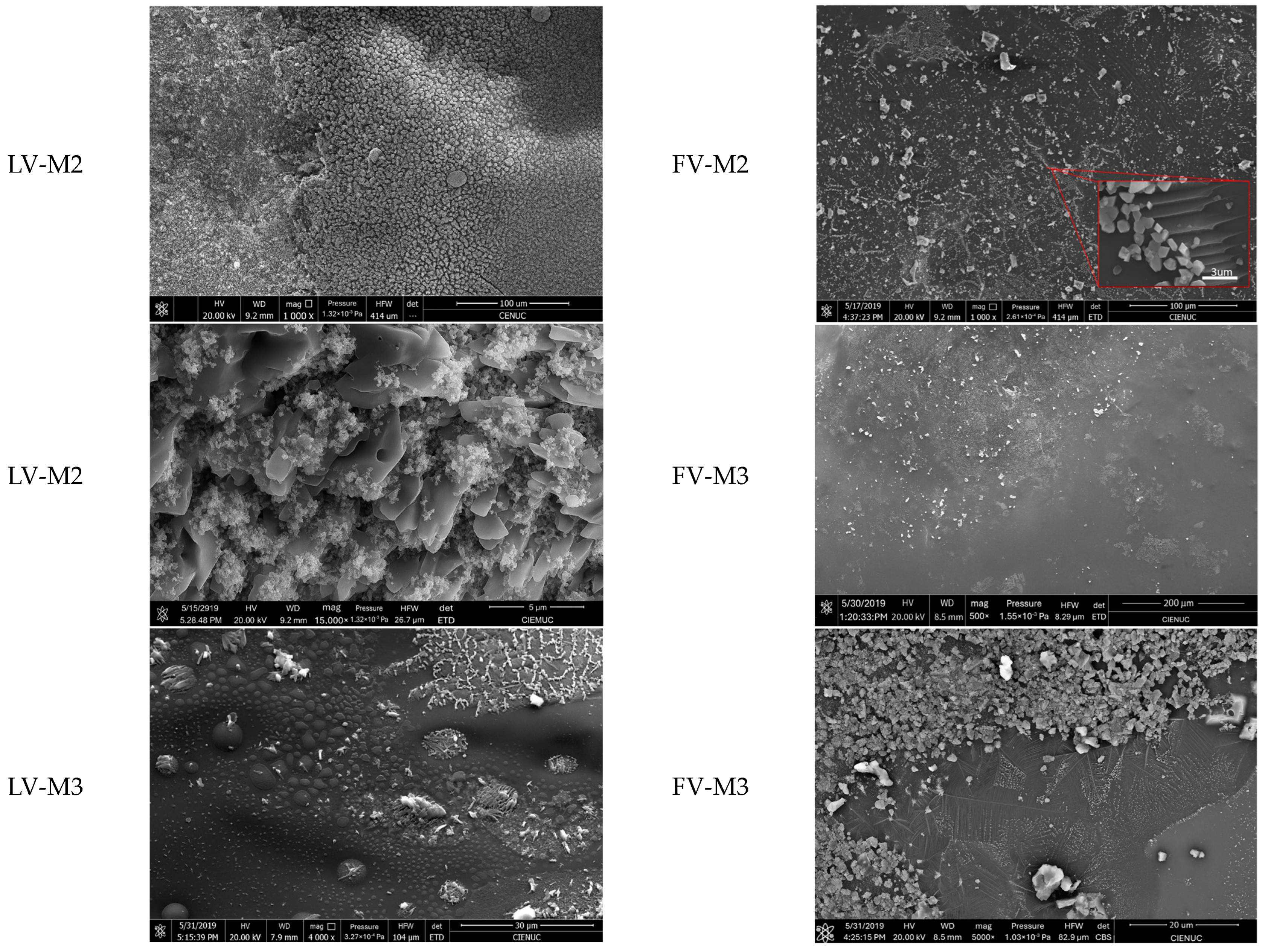 Sustainability 17 05676 g005