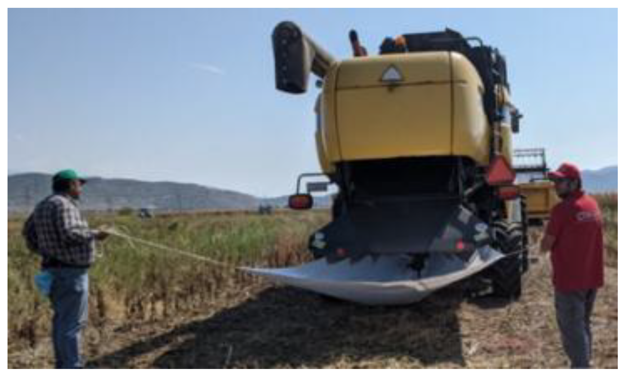 Sustainability 17 05703 g004