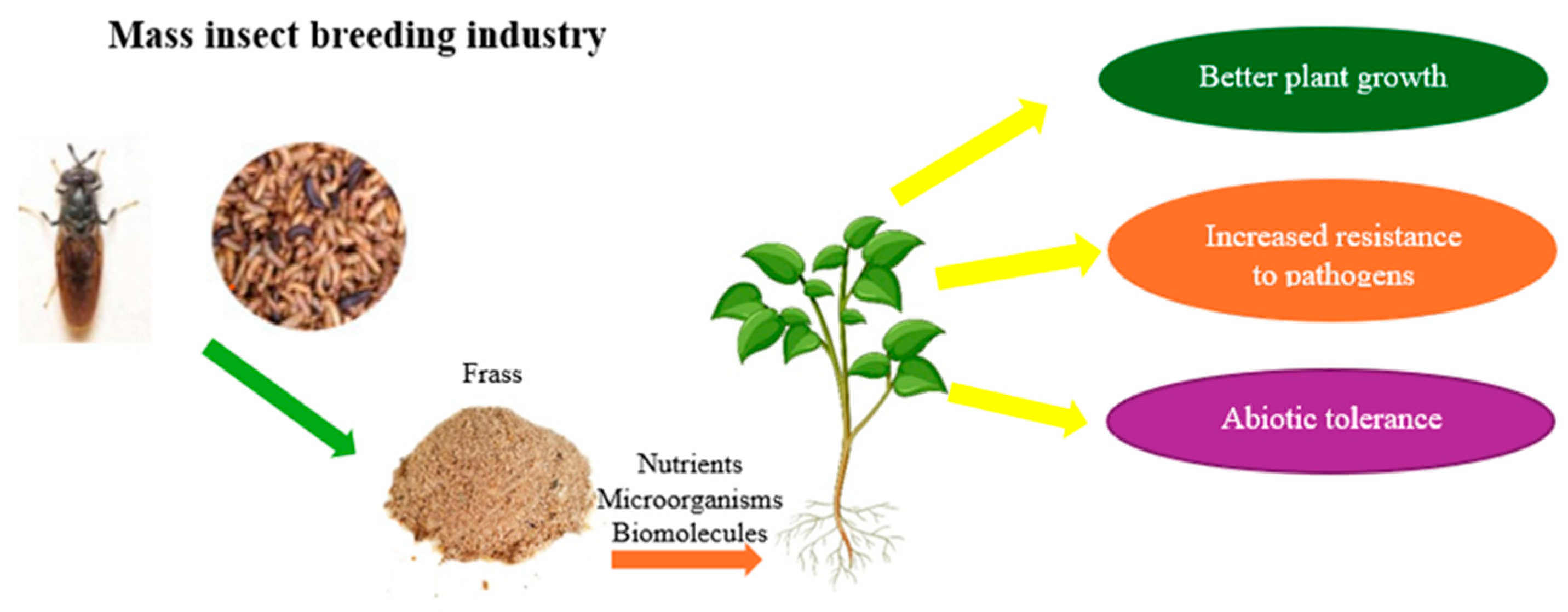 Sustainability 17 05710 g001