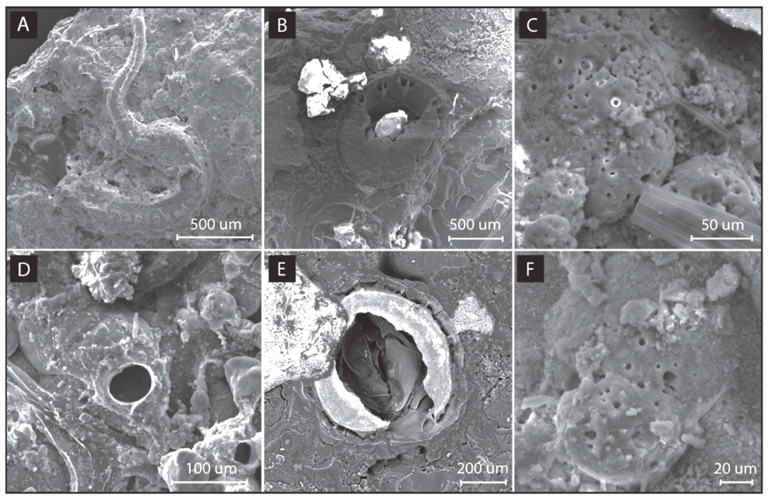 Sustainability 17 05720 g015