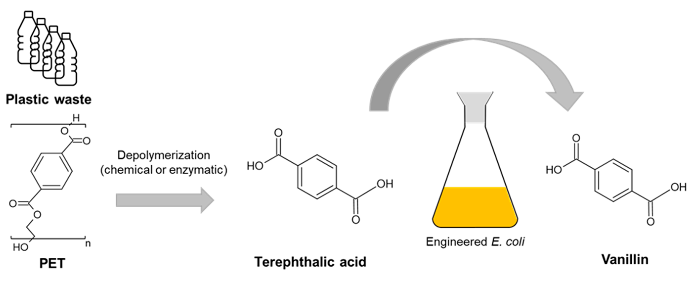 Sustainability 17 05738 g007