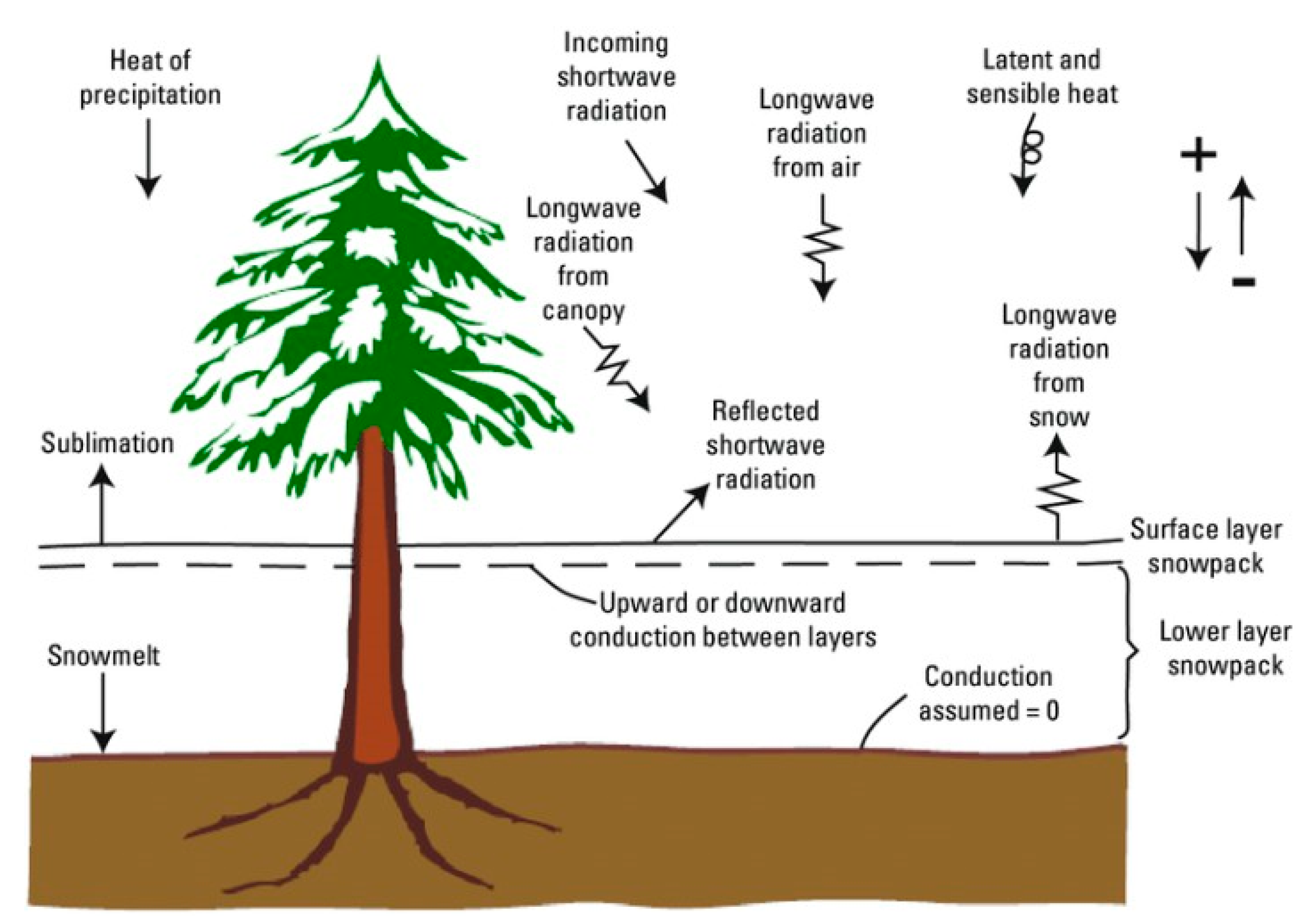 Sustainability 17 05771 g003