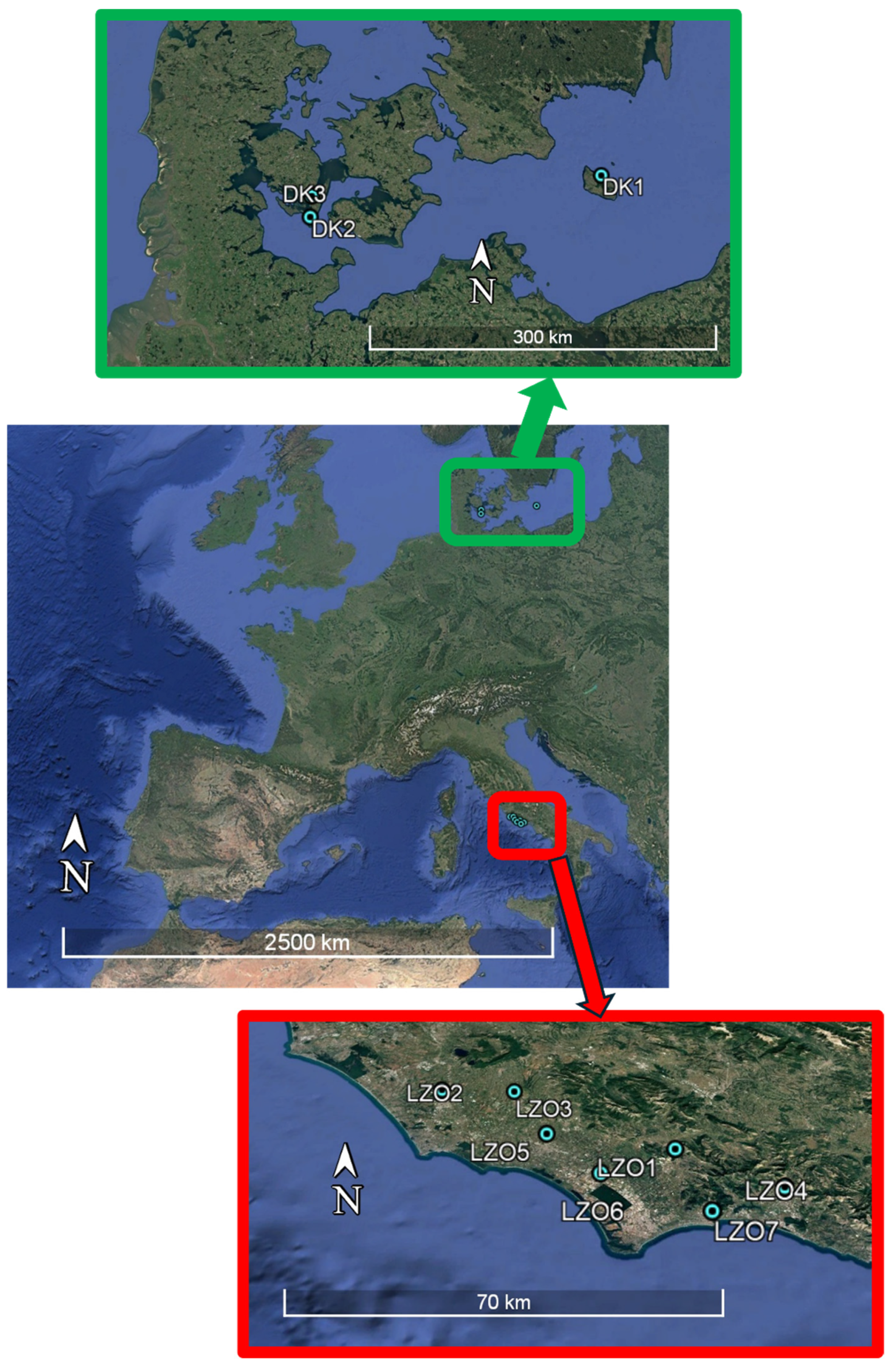 Sustainability 17 05801 g002