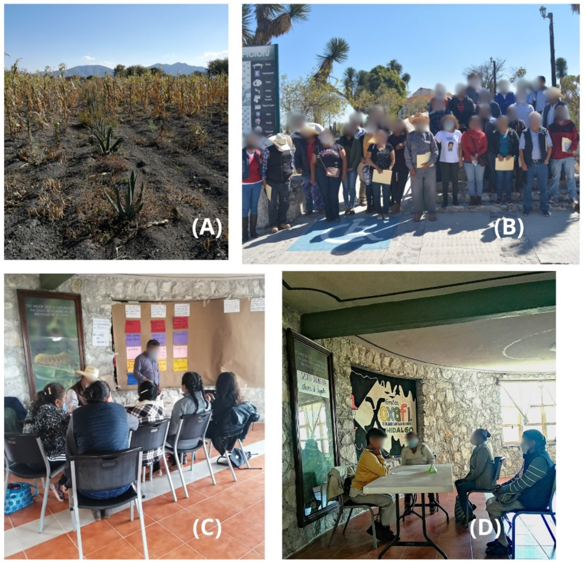 Sustainability 17 05833 g004