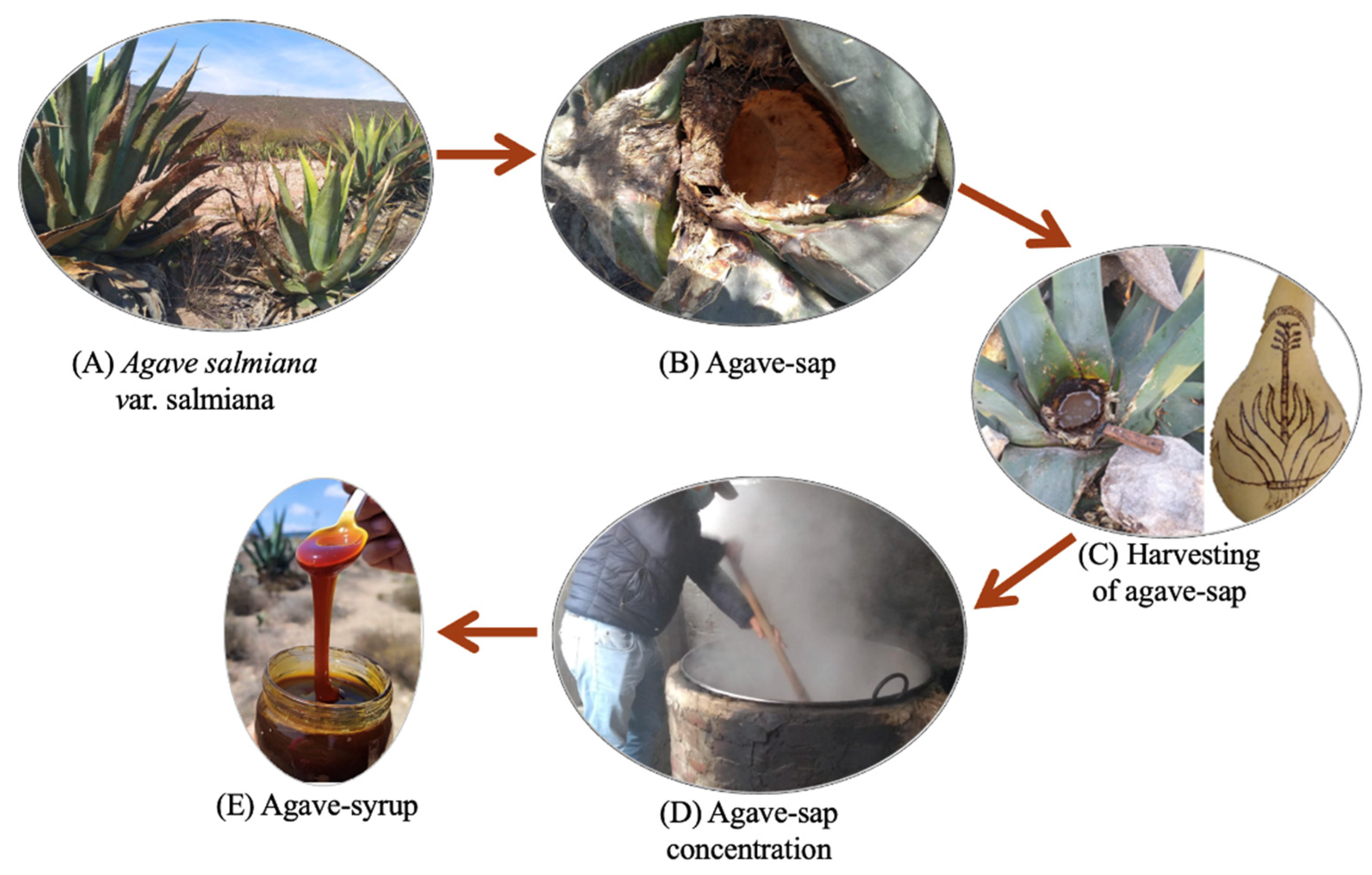 Sustainability 17 05833 g005