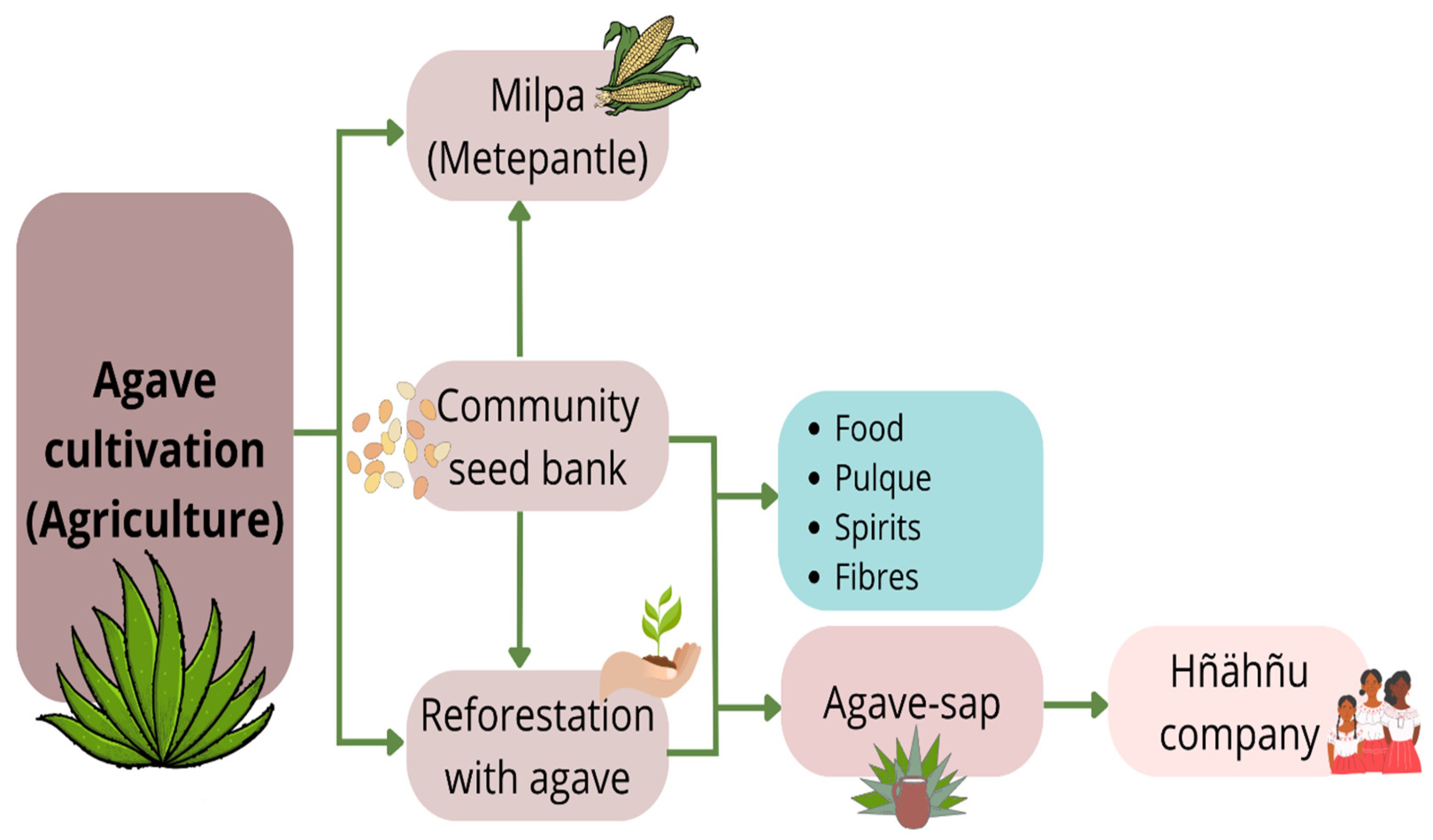 Sustainability 17 05833 g006