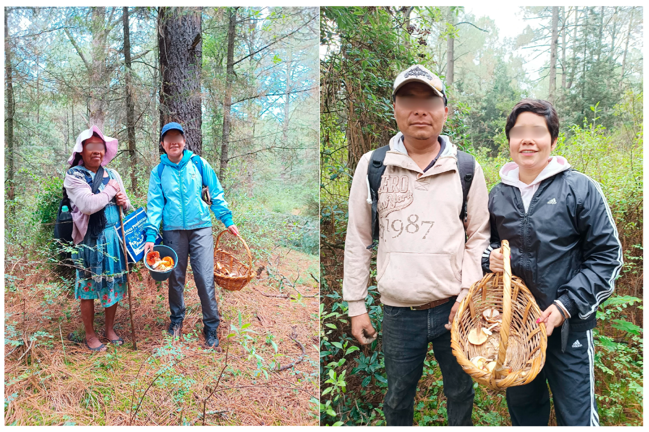 Sustainability 17 05852 g002