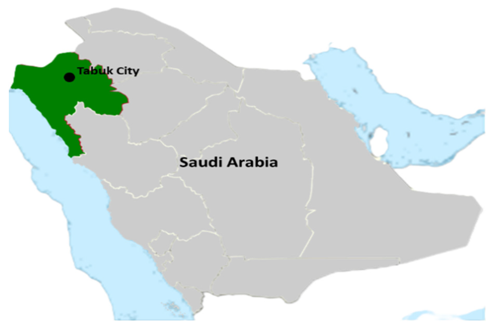 Sustainability 17 05862 g003