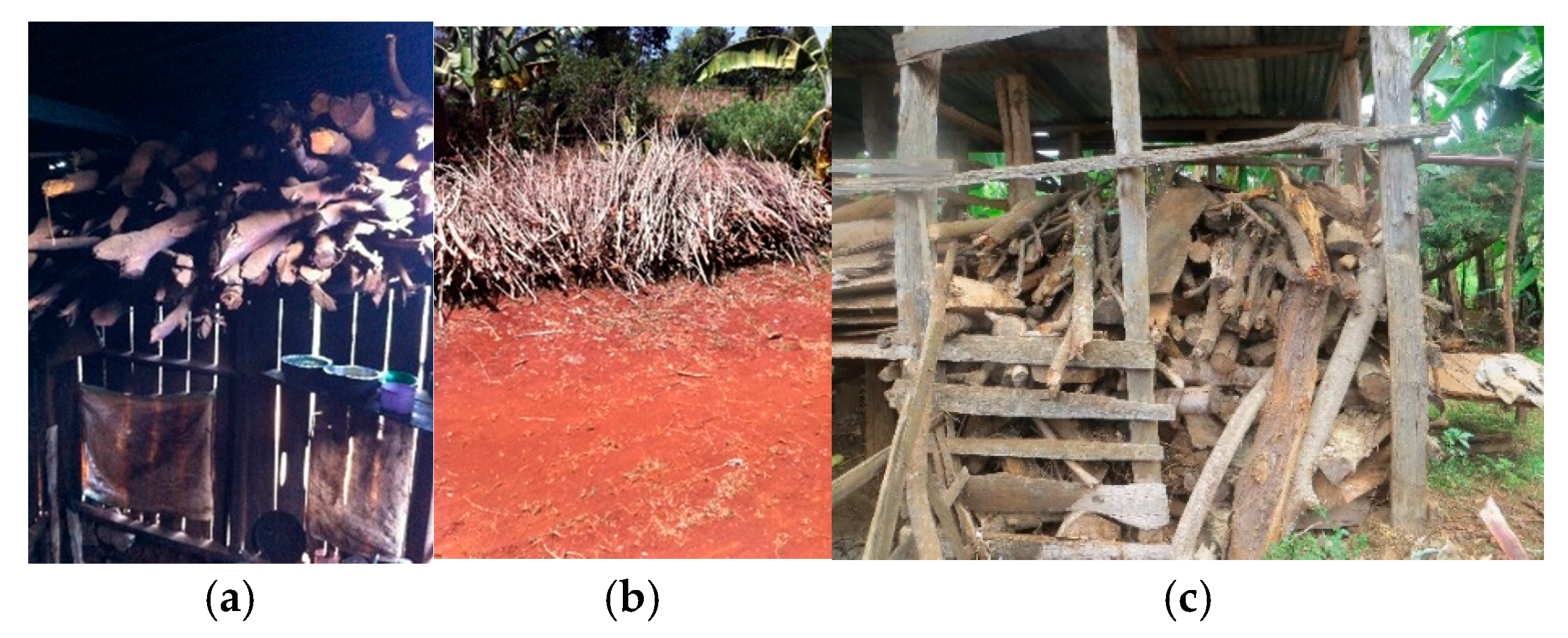 Sustainability 17 05872 g005