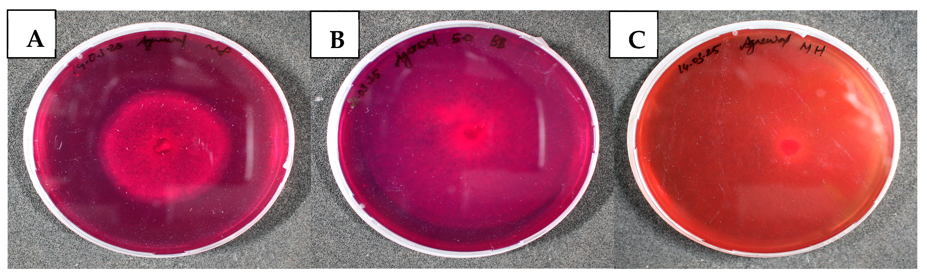 Sustainability 17 05897 g004