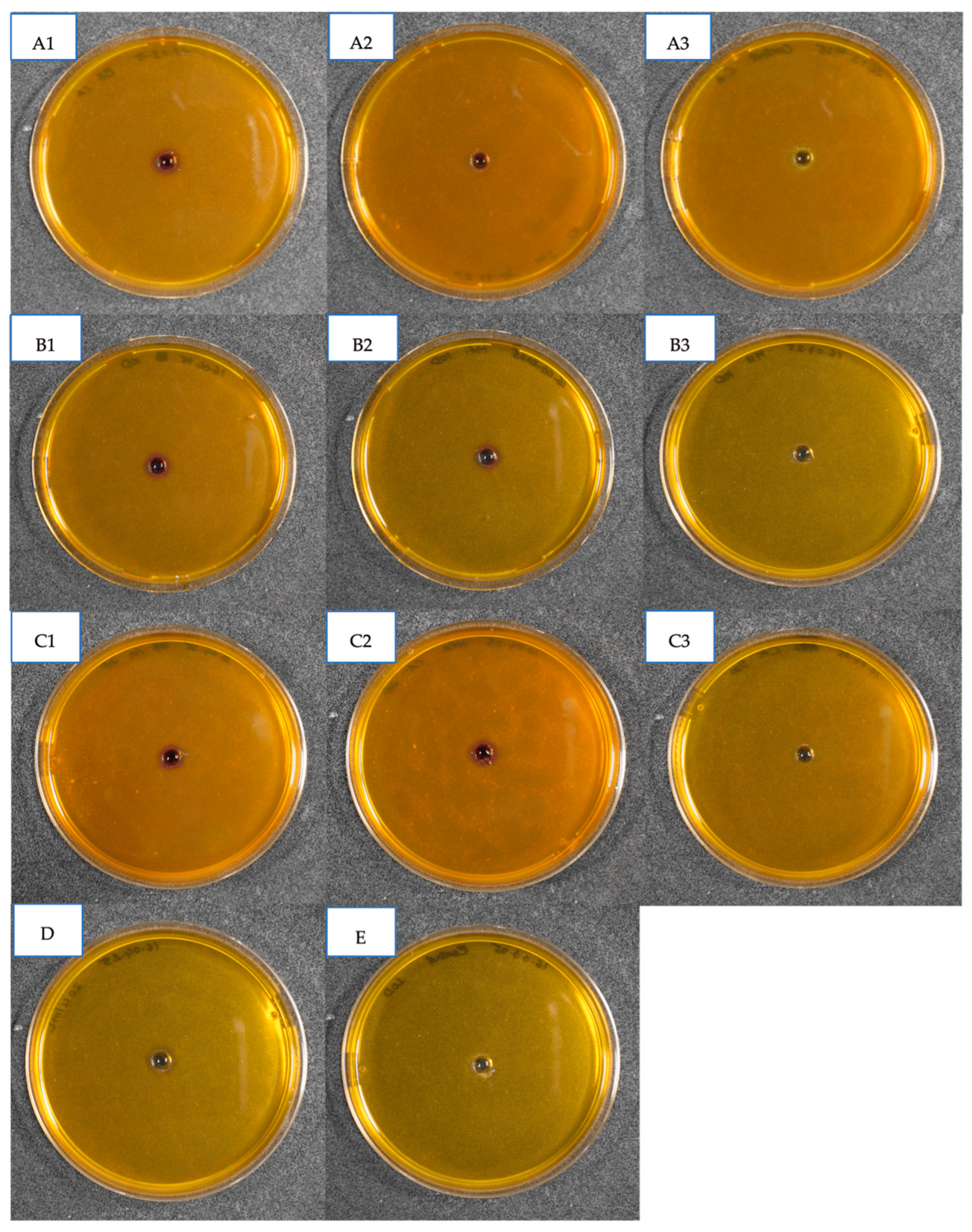 Sustainability 17 05897 g005