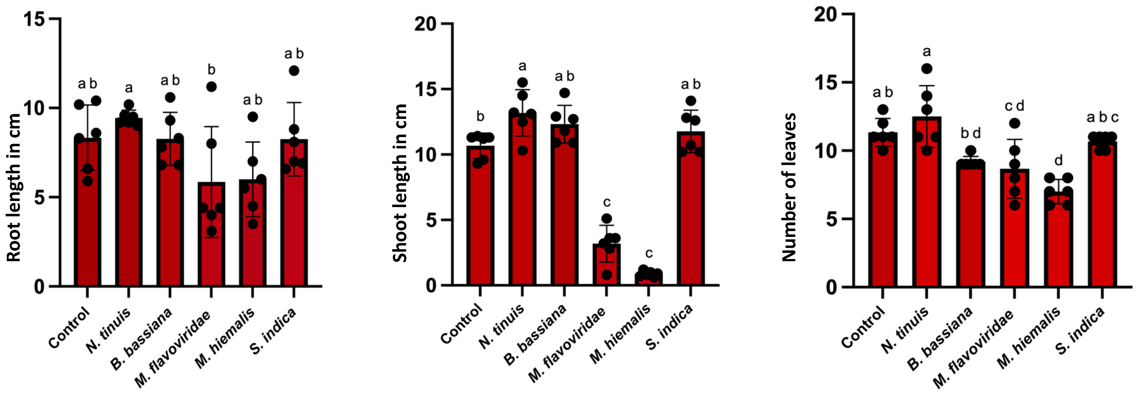 Sustainability 17 05897 g008