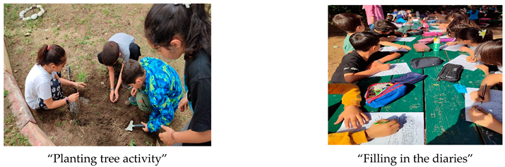 Sustainability 17 05917 i009a