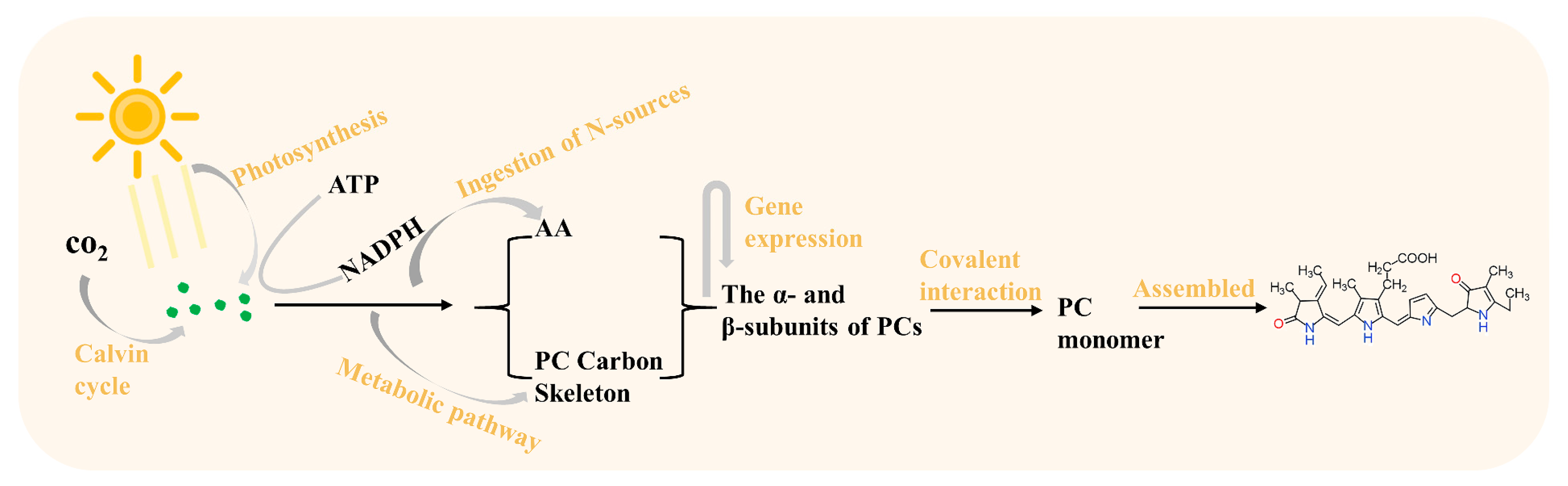 Sustainability 17 05962 g003