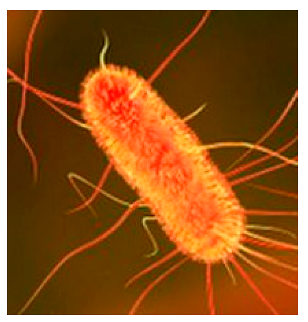 Sustainability 17 05963 g005 Sustainability 17 05963 g005