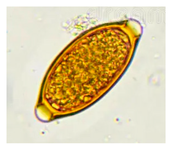 Sustainability 17 05963 g006 Sustainability 17 05963 g006