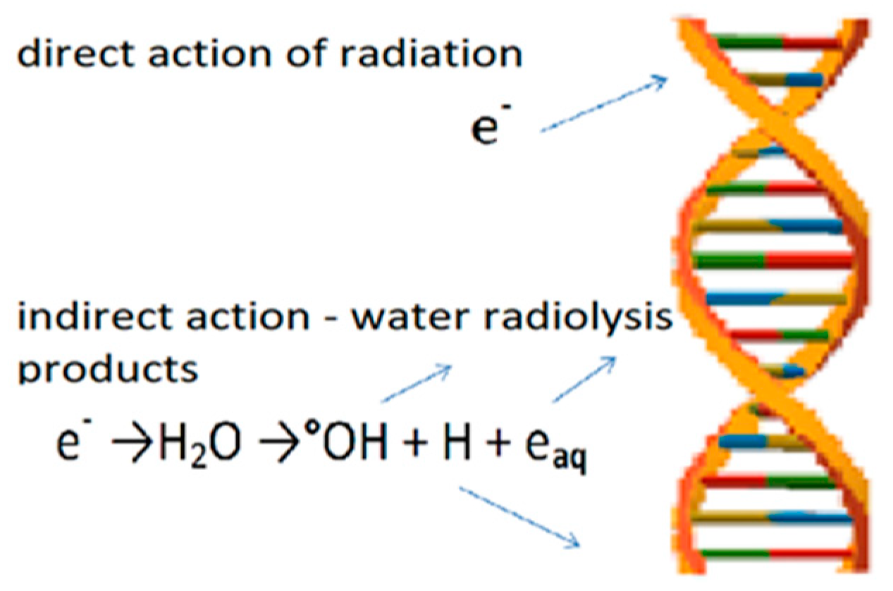 Sustainability 17 05963 g008 Sustainability 17 05963 g008