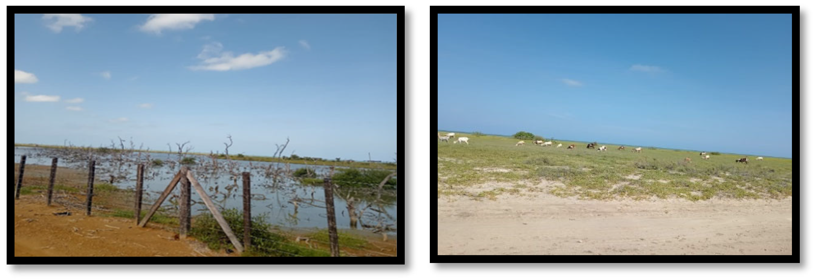 Sustainability 17 06029 g002