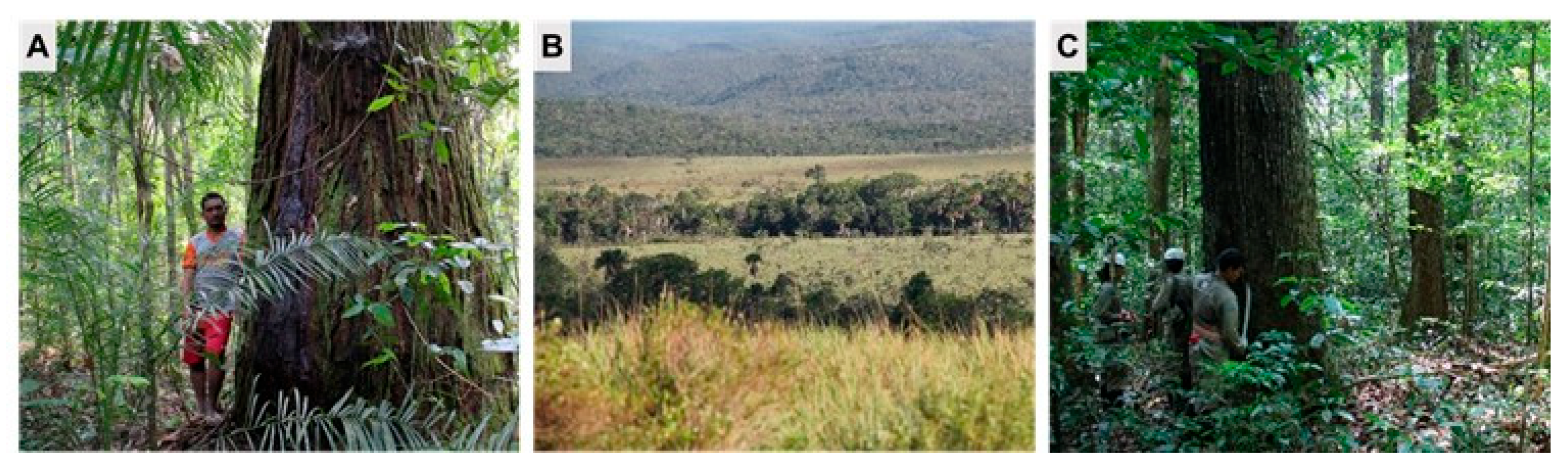 Sustainability 17 06049 g0a1