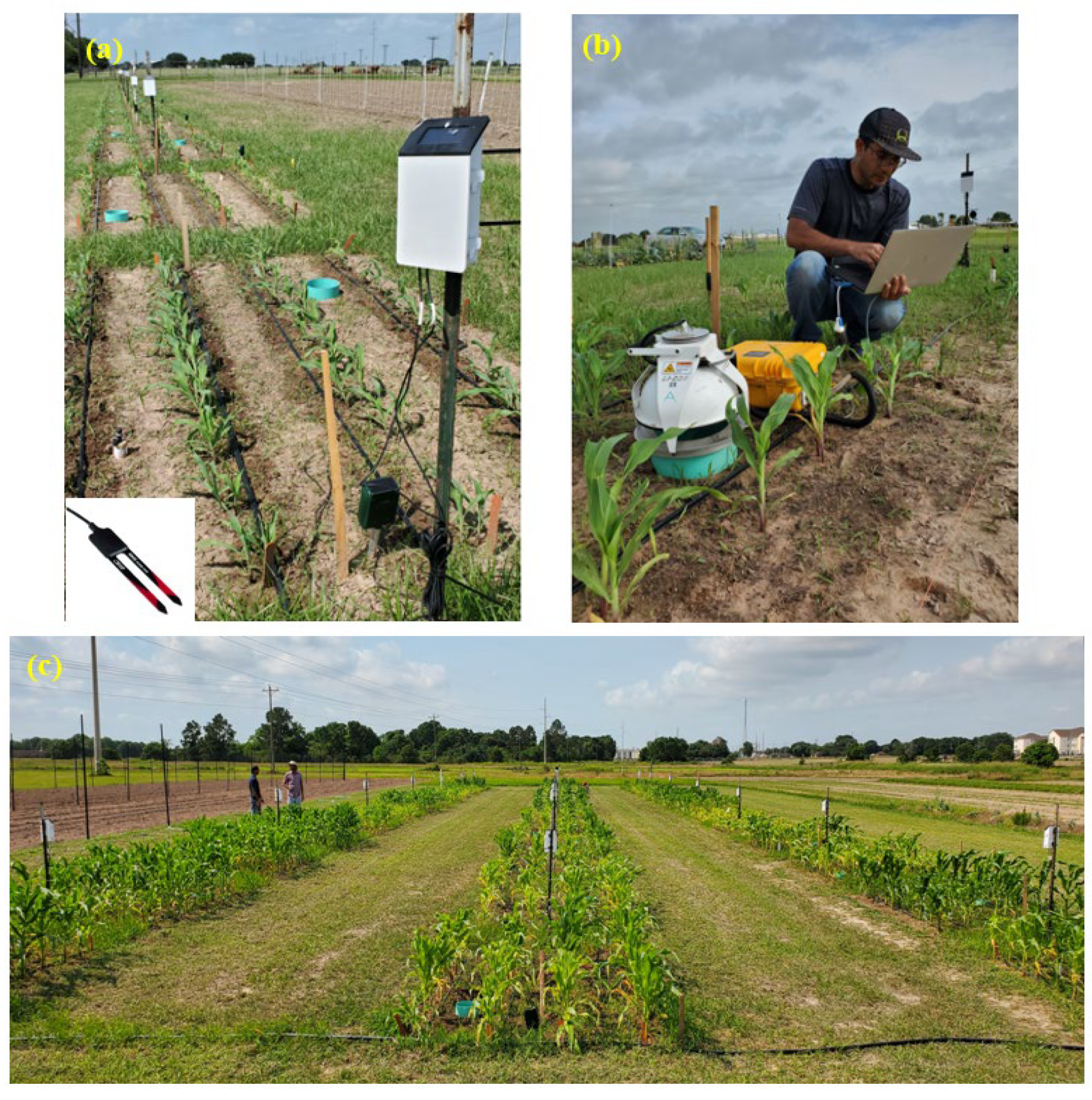 Sustainability 17 06101 g003