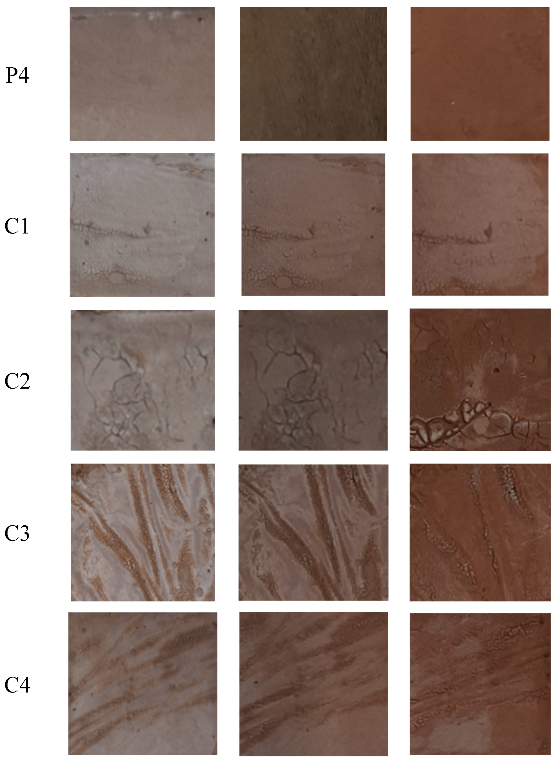 Sustainability 17 06219 g019b