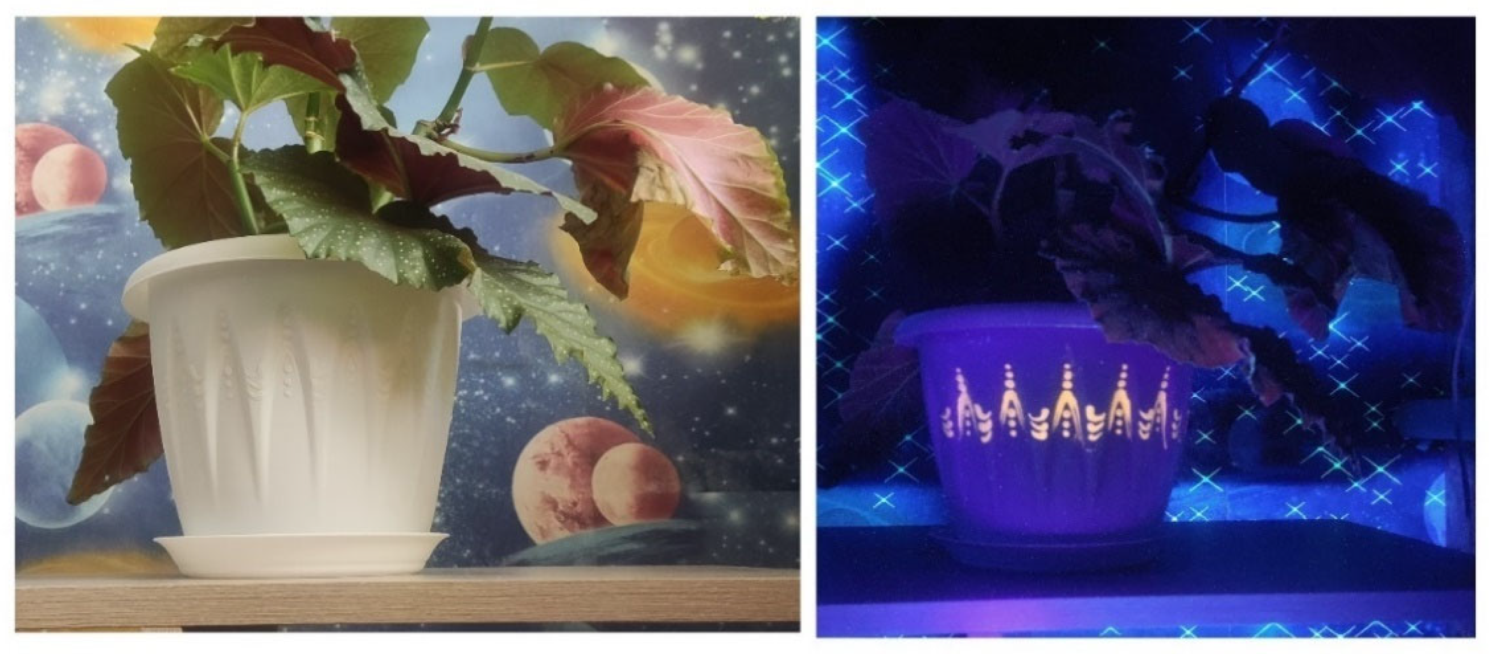 Sustainability 17 06228 g009