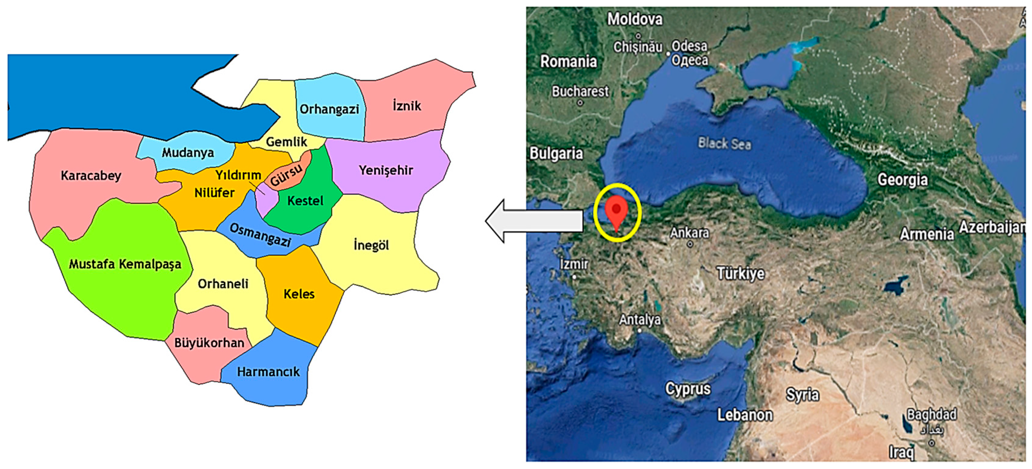 Sustainability 17 06273 g001