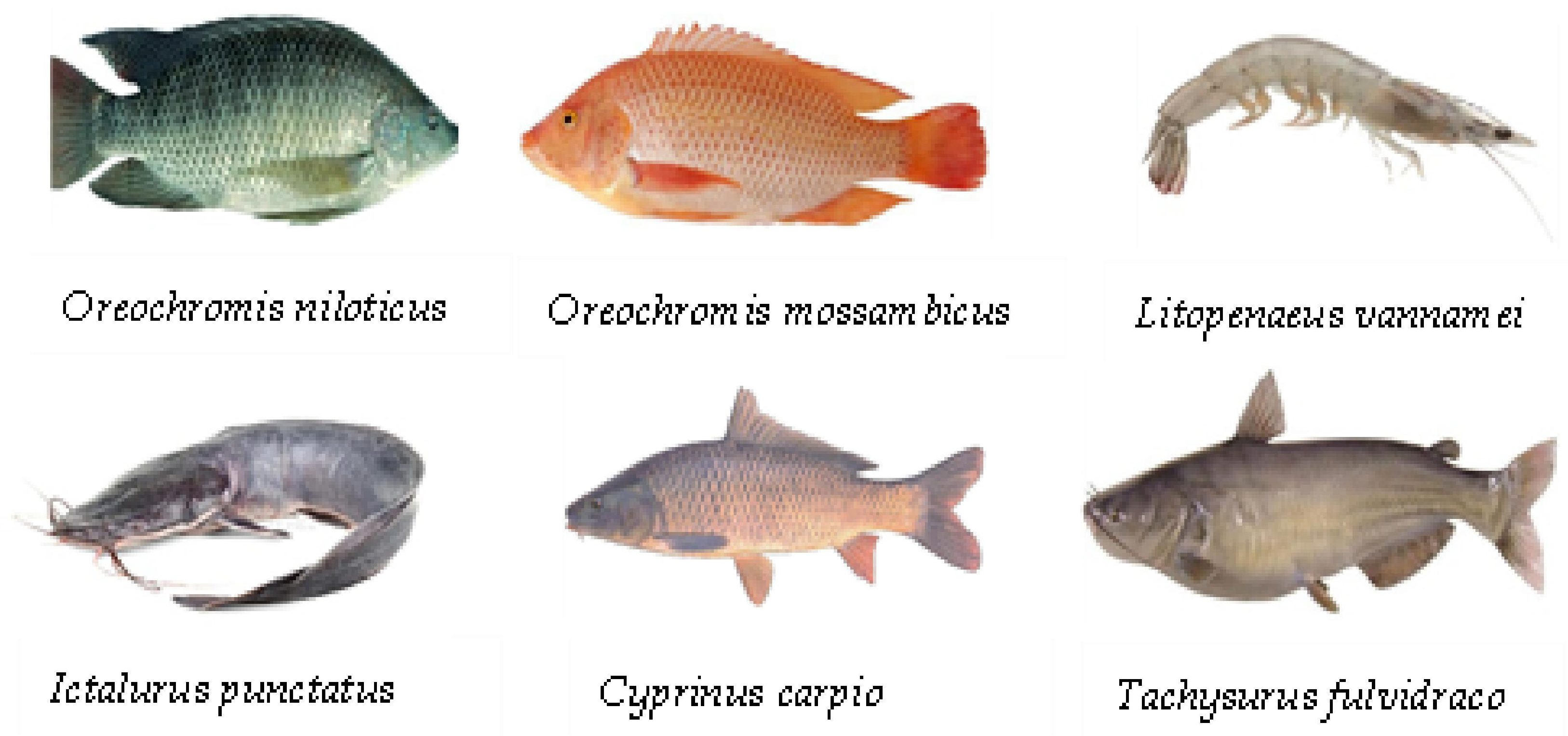 Sustainability 17 06298 g002 Sustainability 17 06298 g002