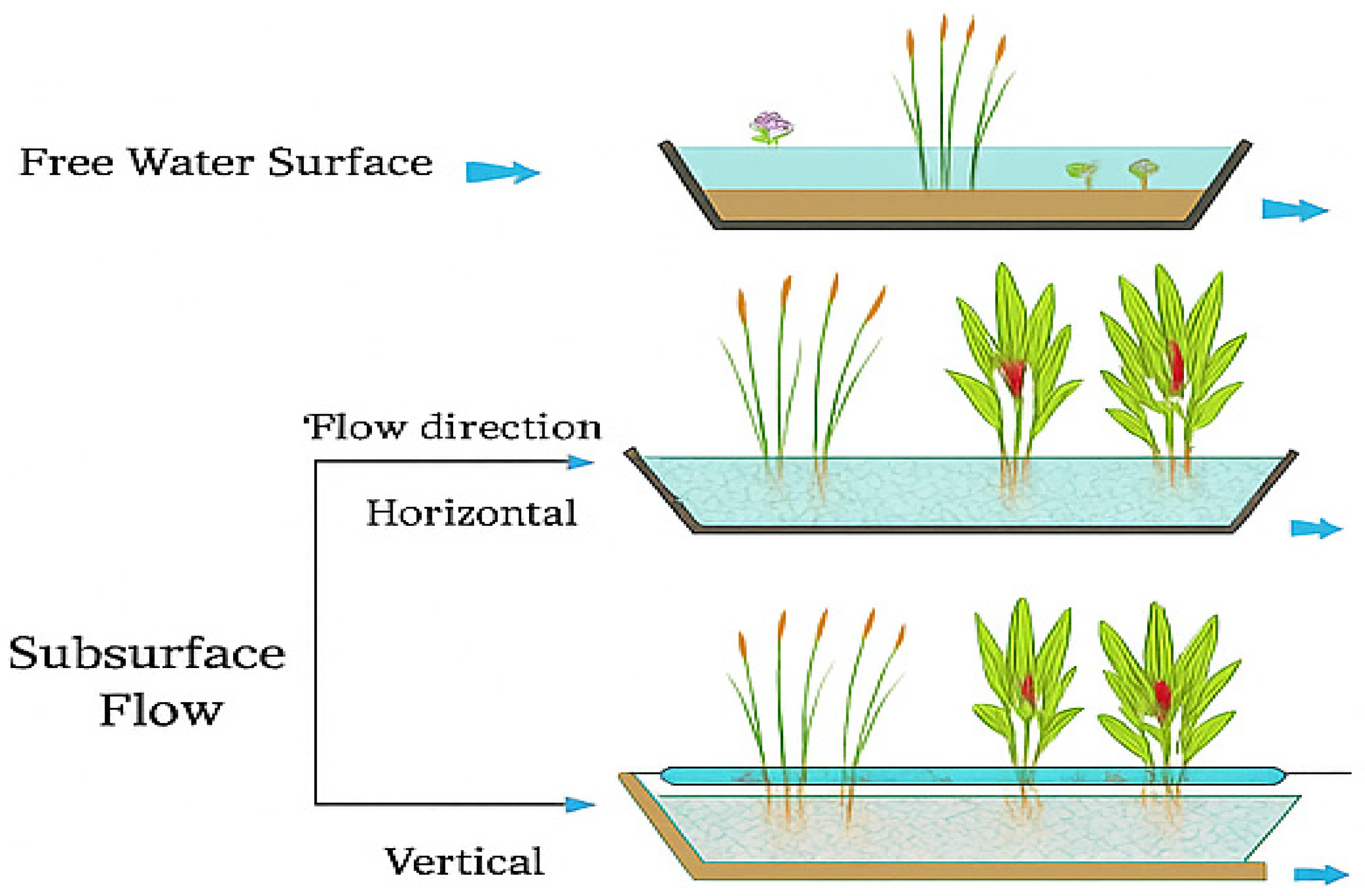 Sustainability 17 06298 g005 Sustainability 17 06298 g005