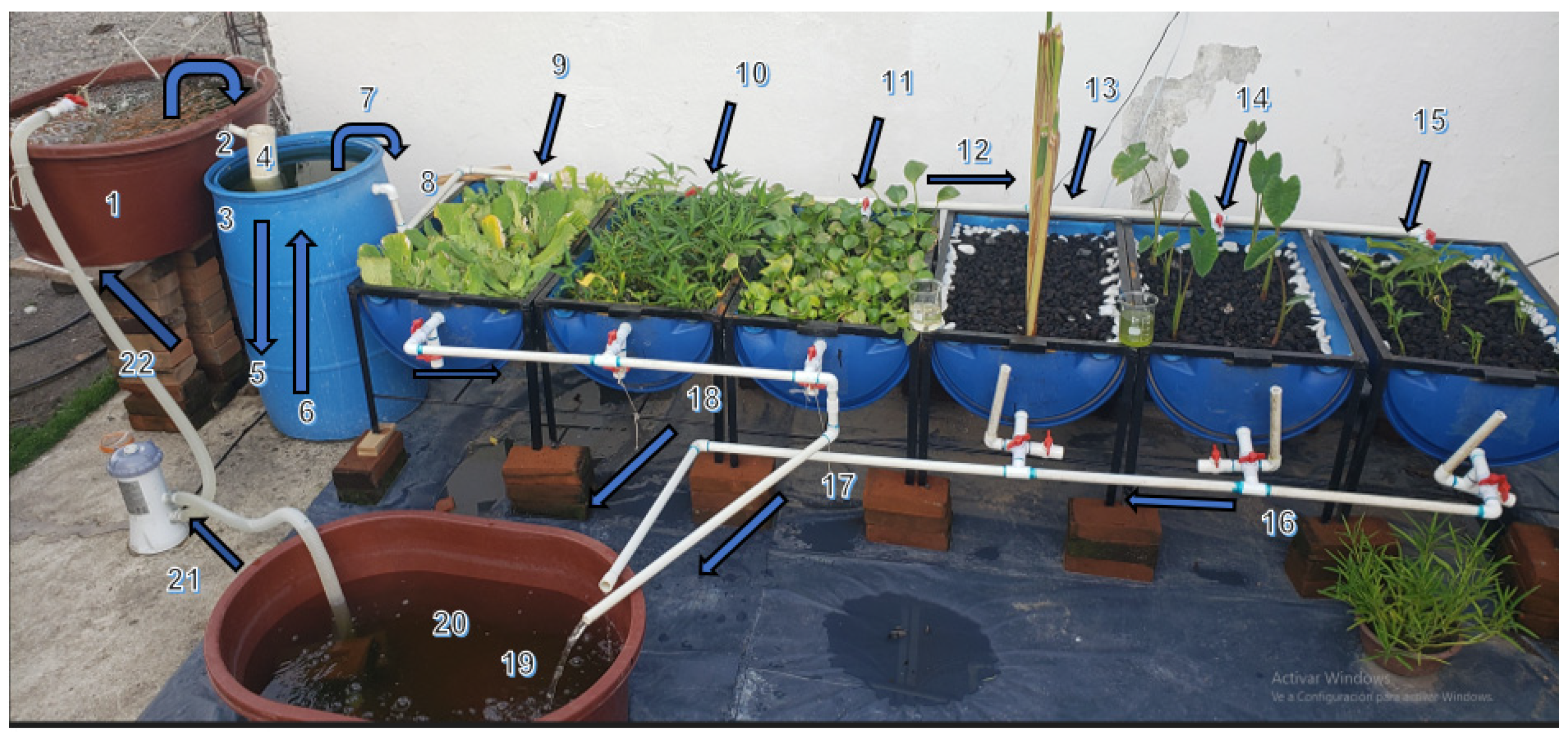 Sustainability 17 06298 g007 Sustainability 17 06298 g007