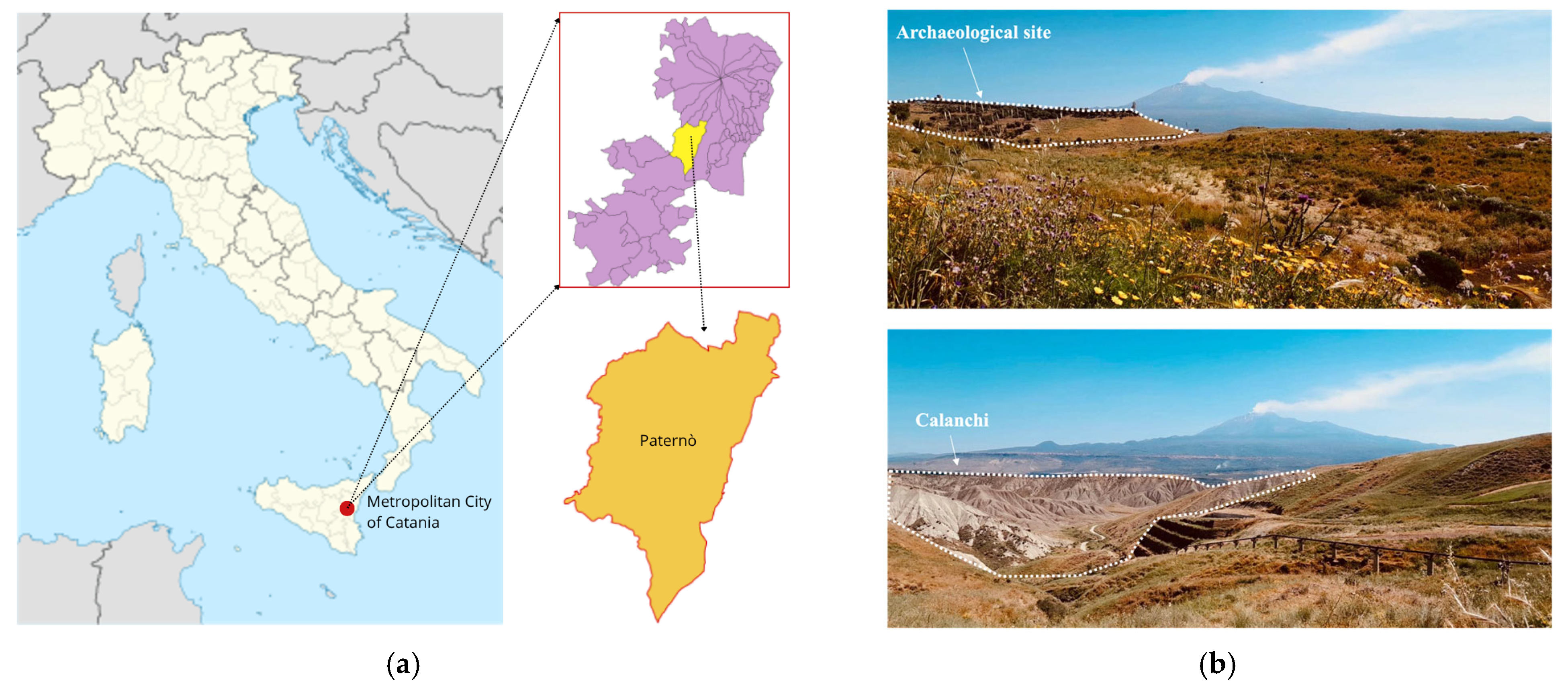 Sustainability 17 06299 g001