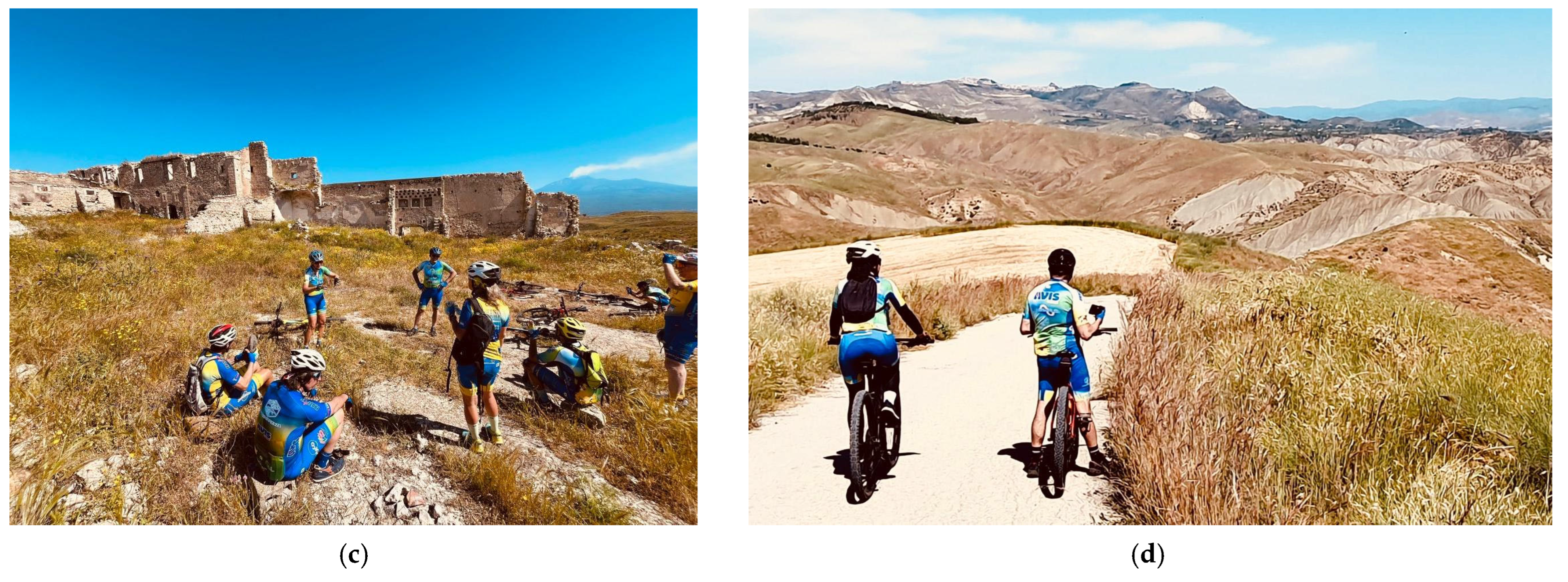 Sustainability 17 06299 g002b