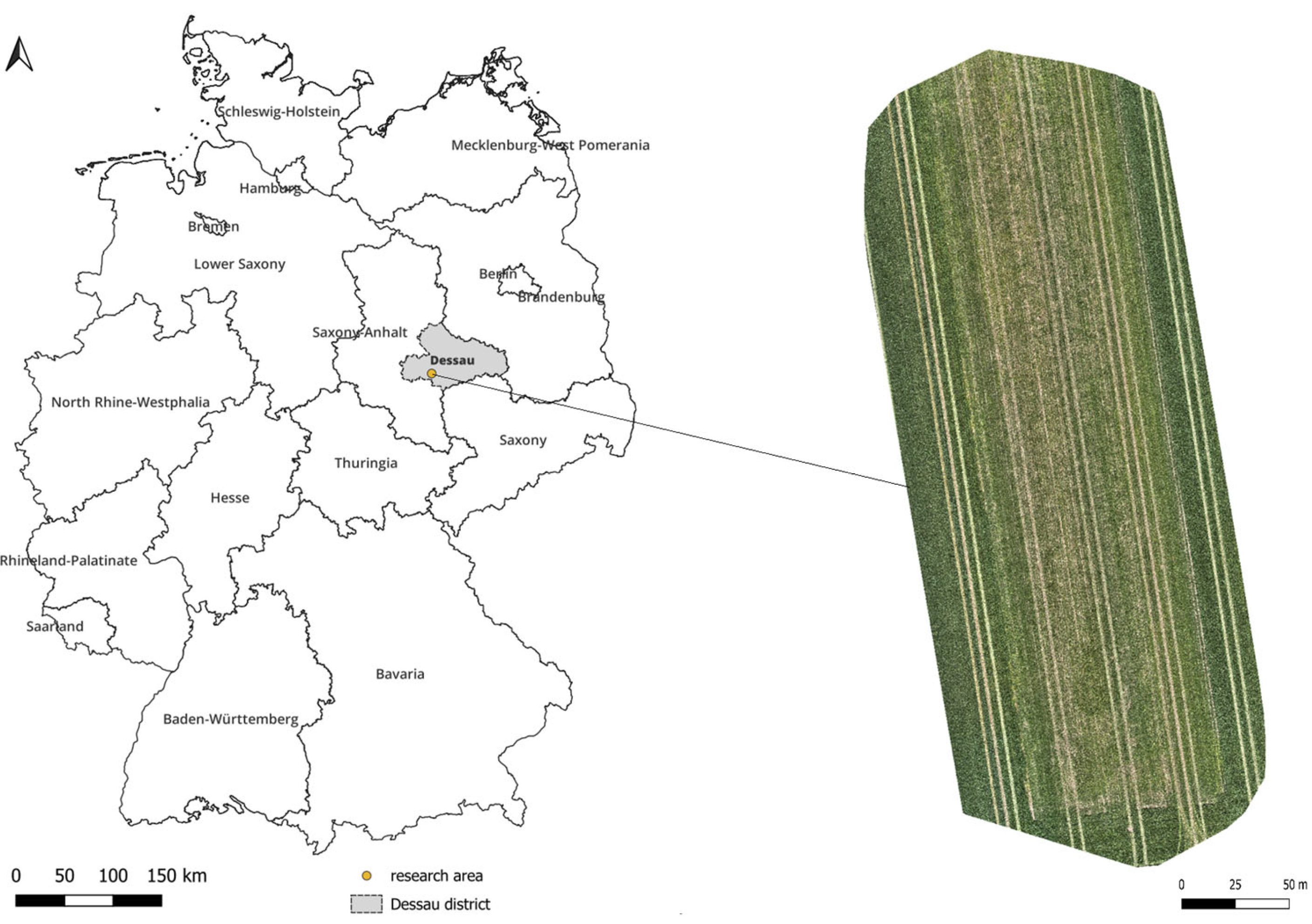 Sustainability 17 06366 g001