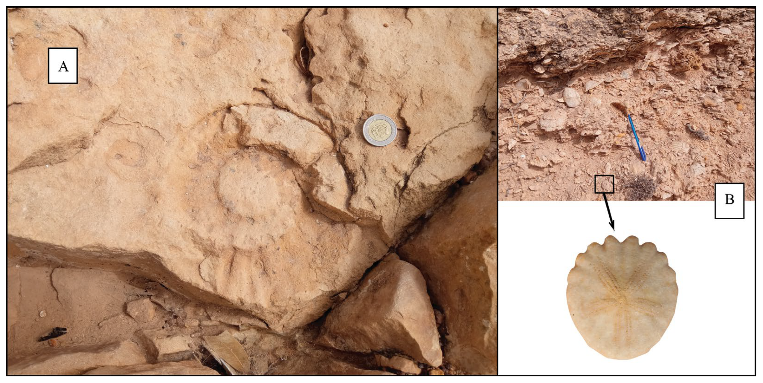 Sustainability 17 06478 g002 Sustainability 17 06478 g002