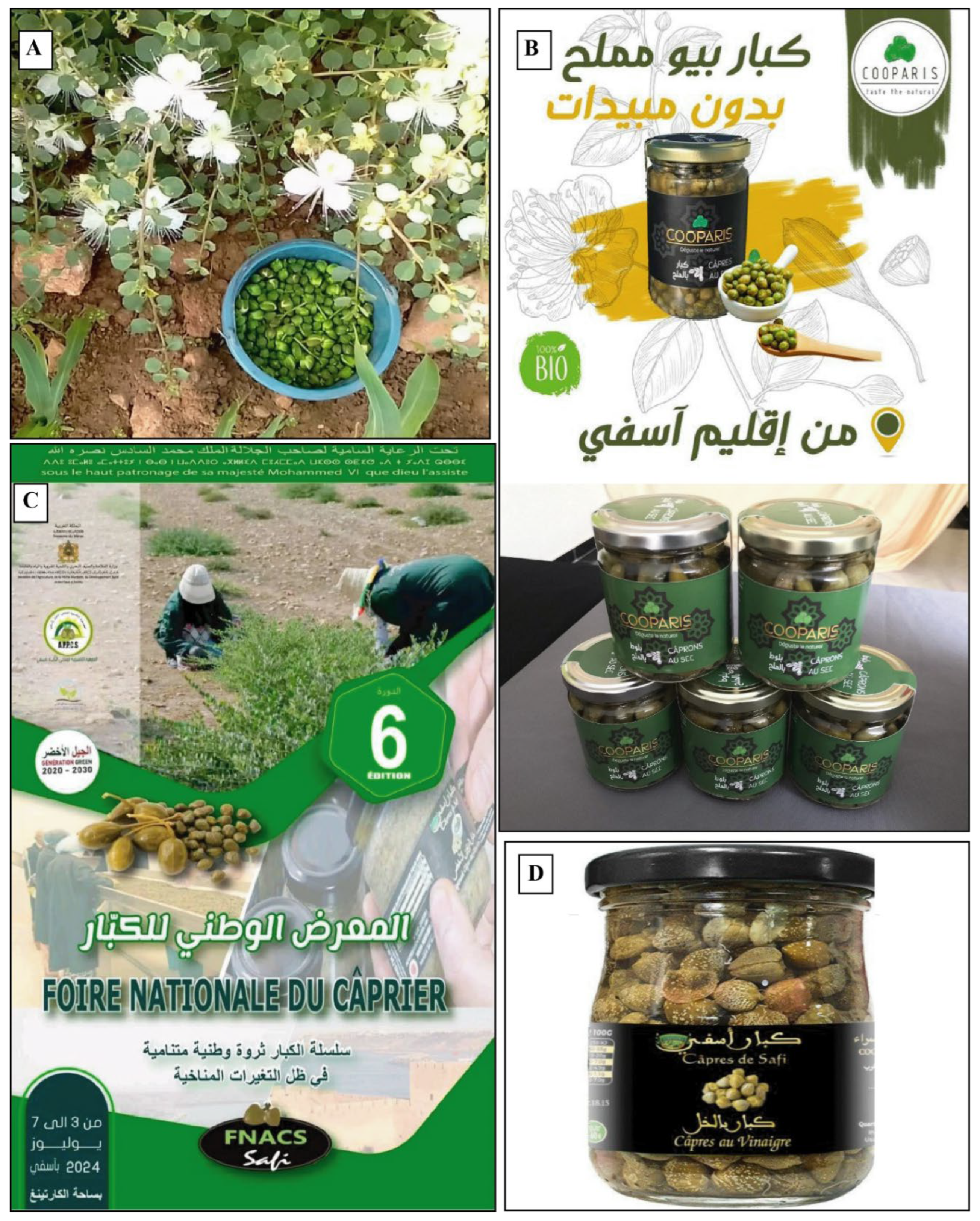 Sustainability 17 06478 g009 Sustainability 17 06478 g009