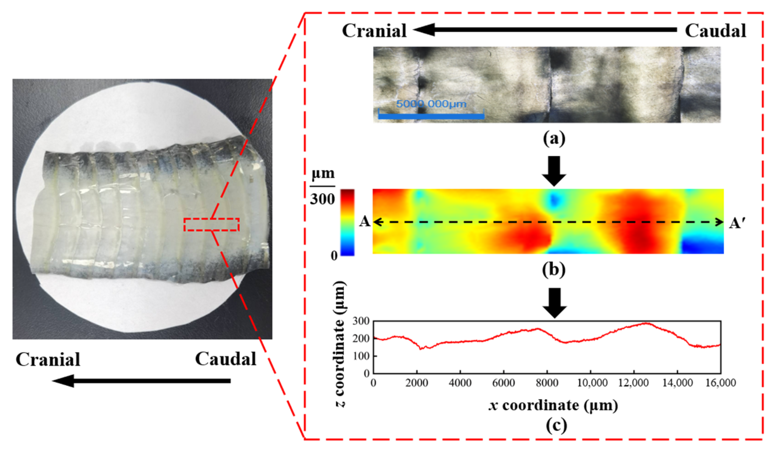 Sustainability 17 06502 g003