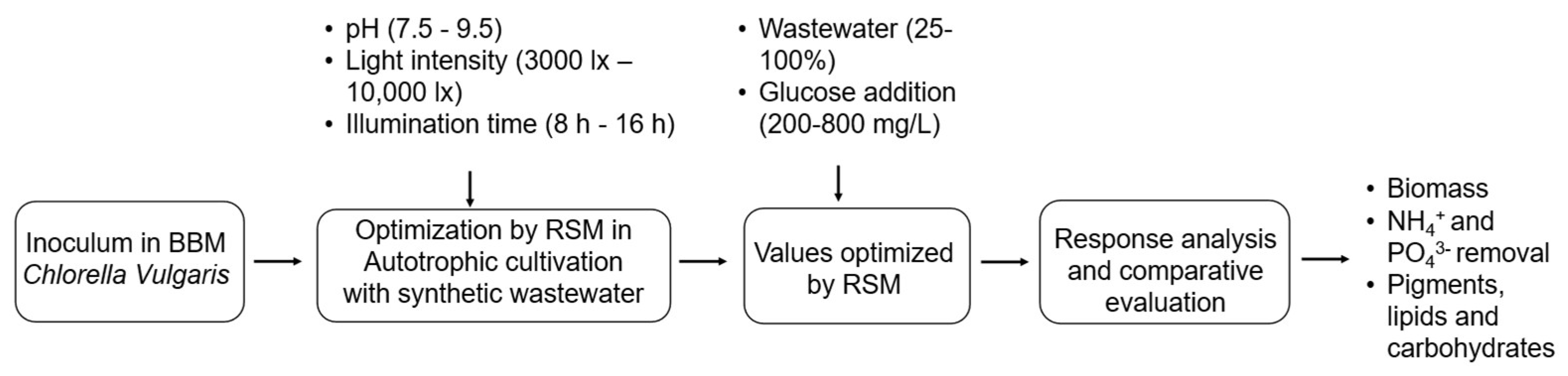 Sustainability 17 06539 g001