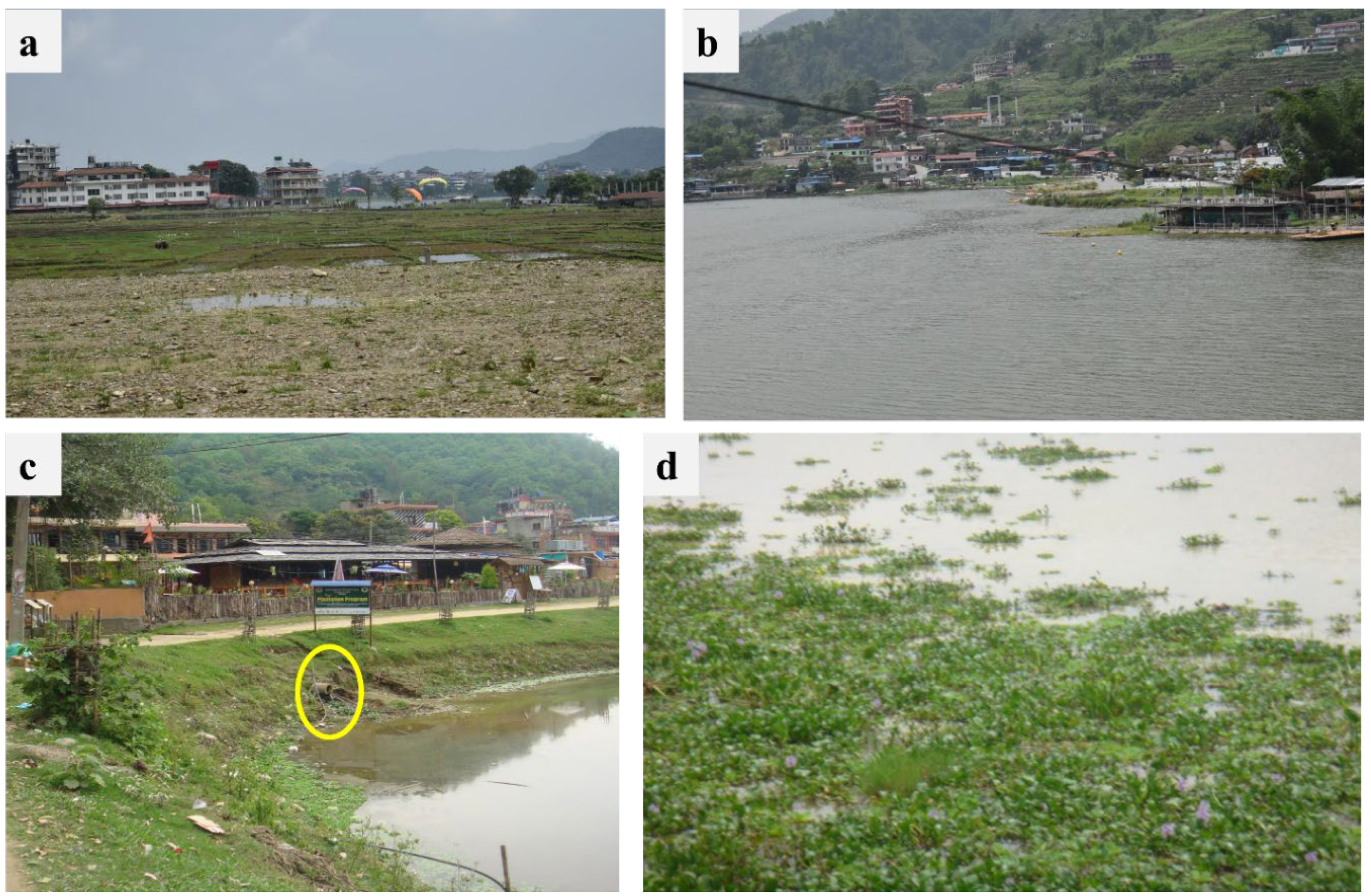 Sustainability 17 06572 g005