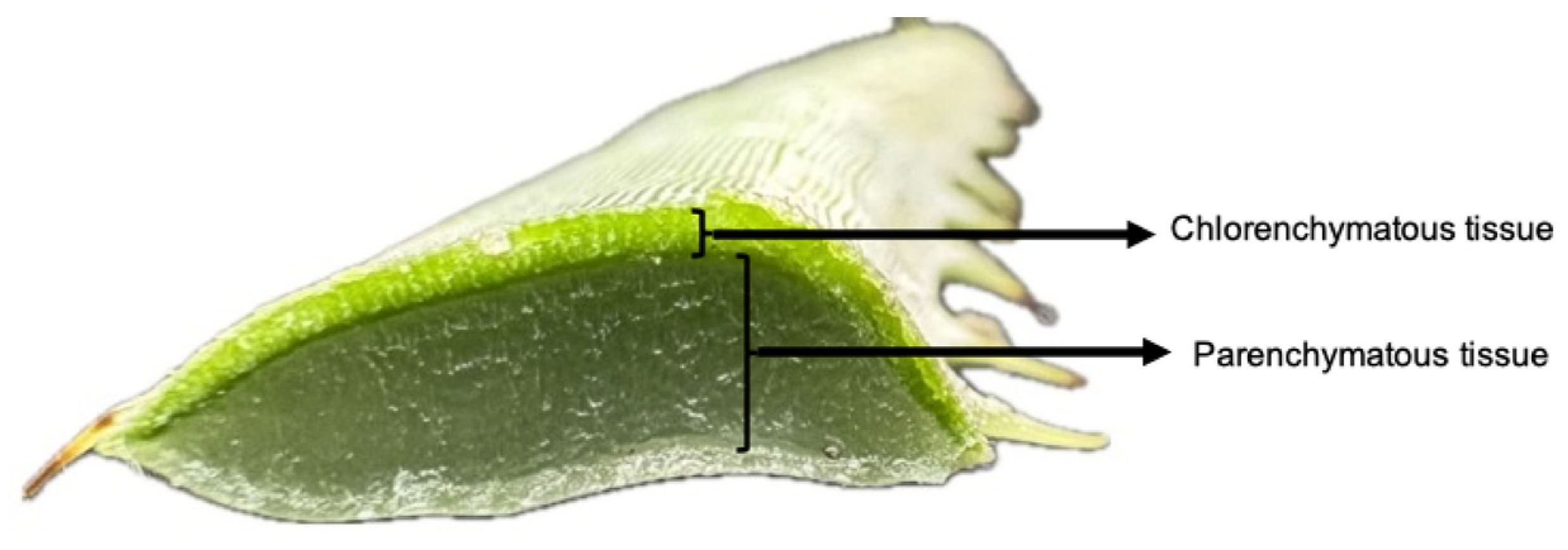 Sustainability 17 06579 g001