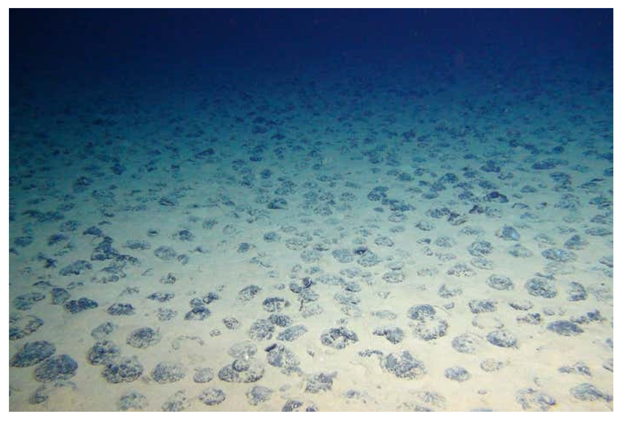 Sustainability 17 06580 g010