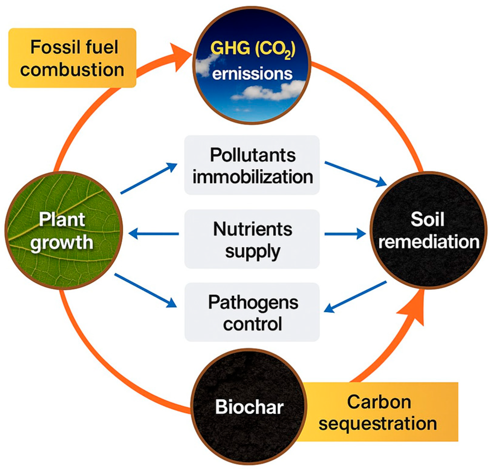 Sustainability 17 06704 g010