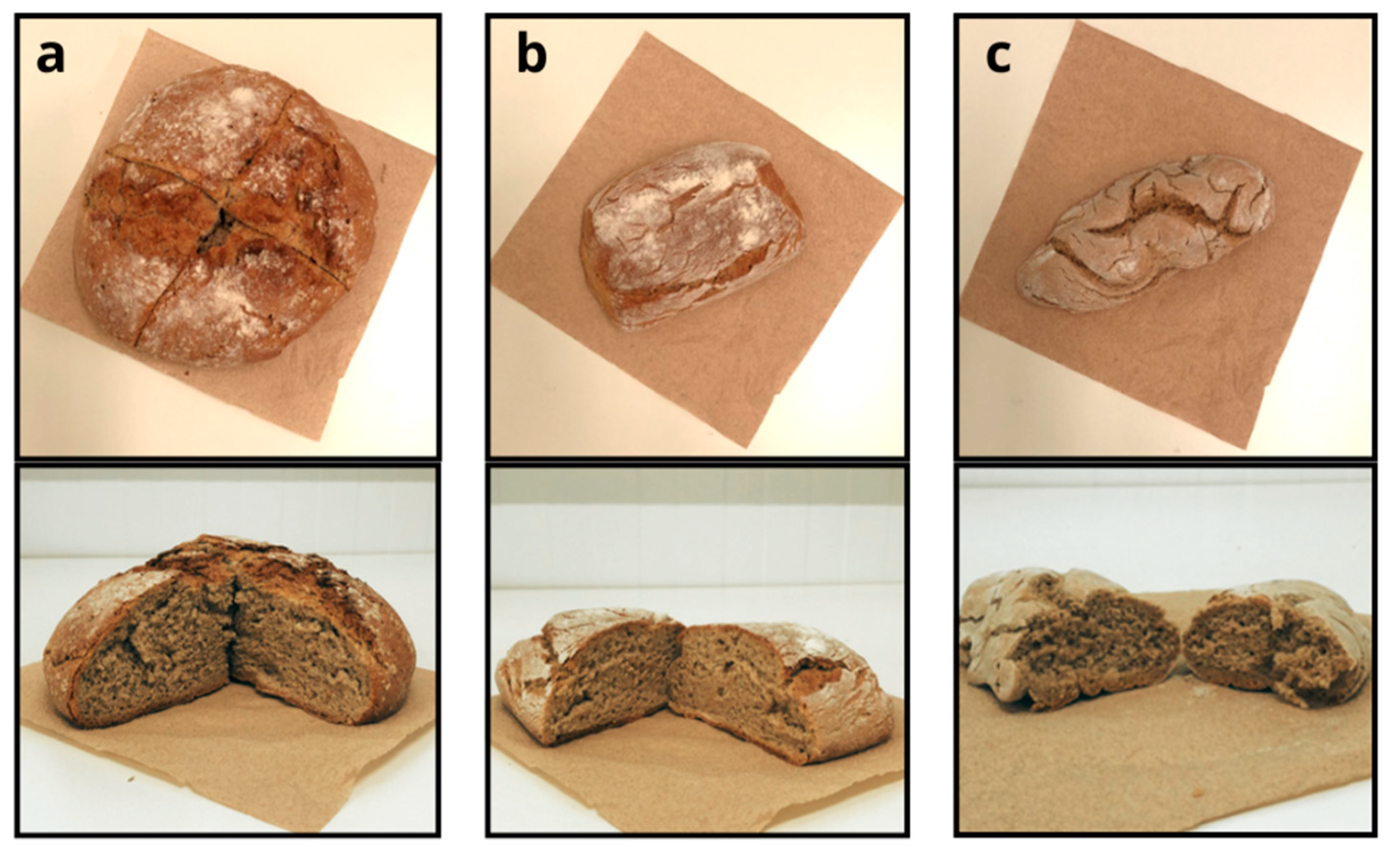 Sustainability 17 06710 g001