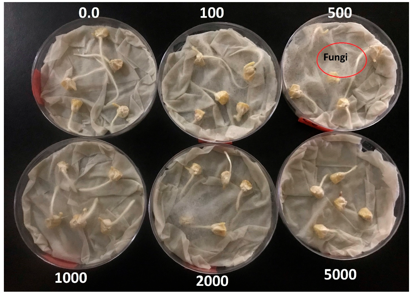 Sustainability 17 06734 g003