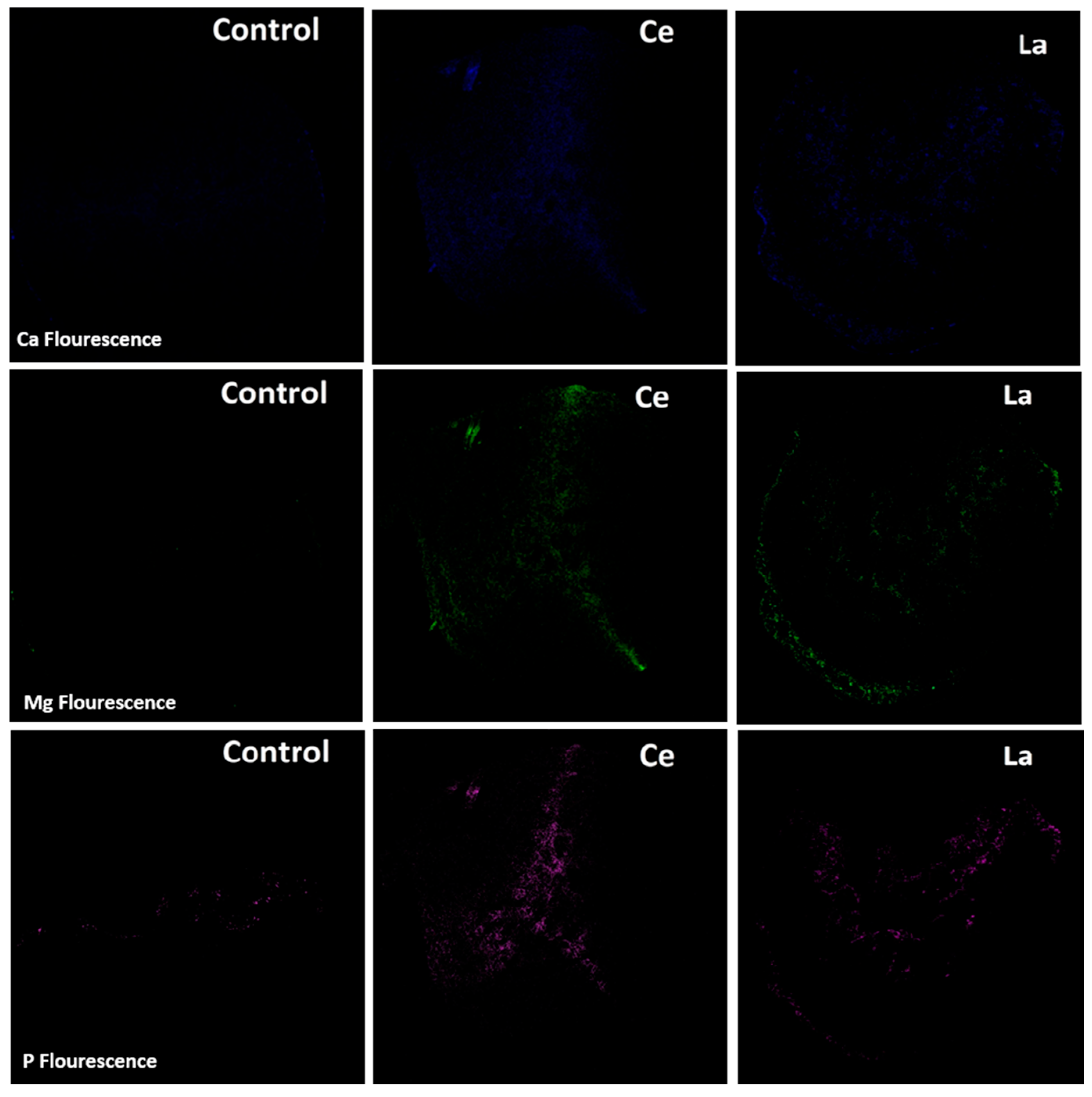 Sustainability 17 06734 g008