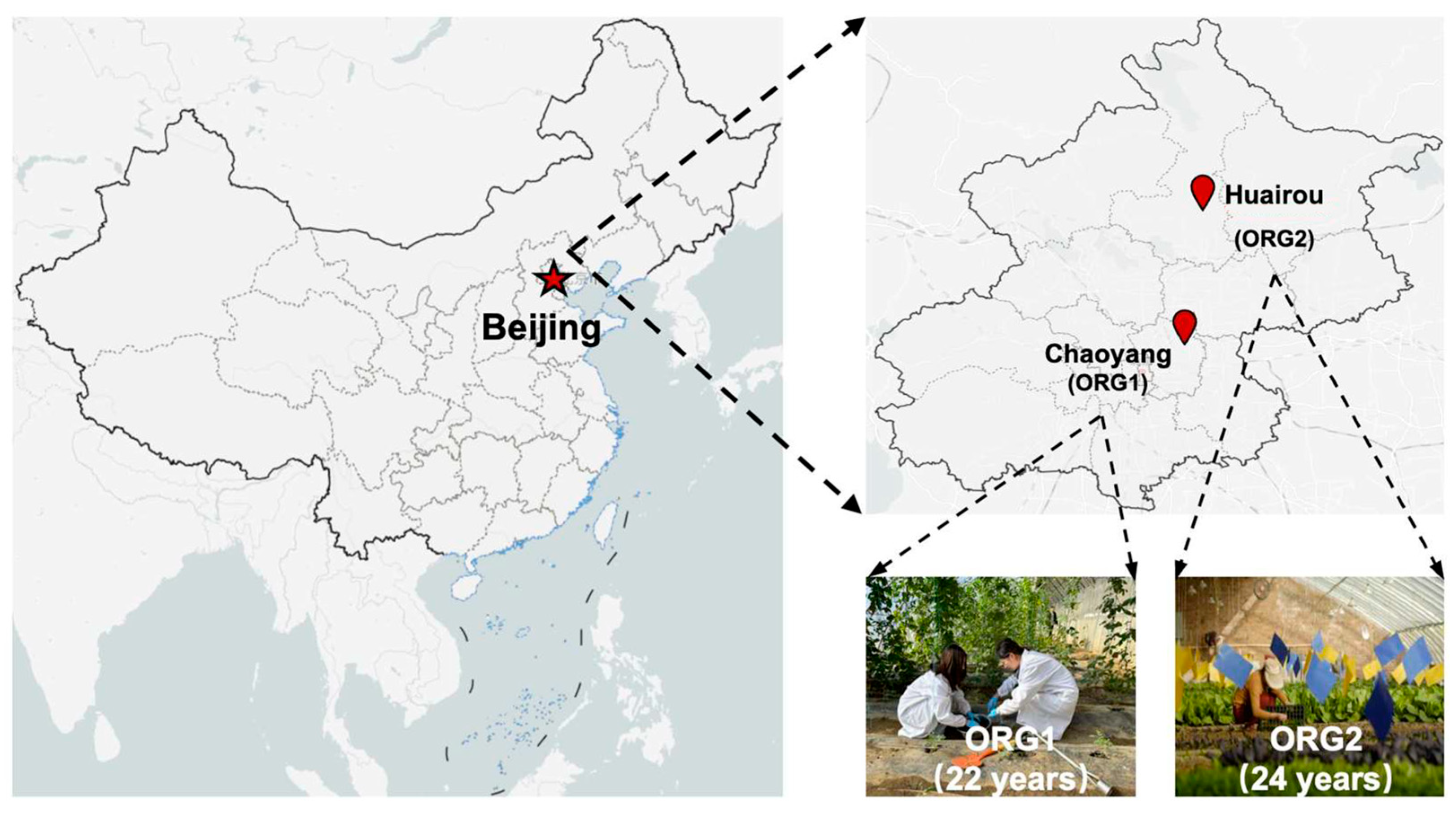 Sustainability 17 06817 g001