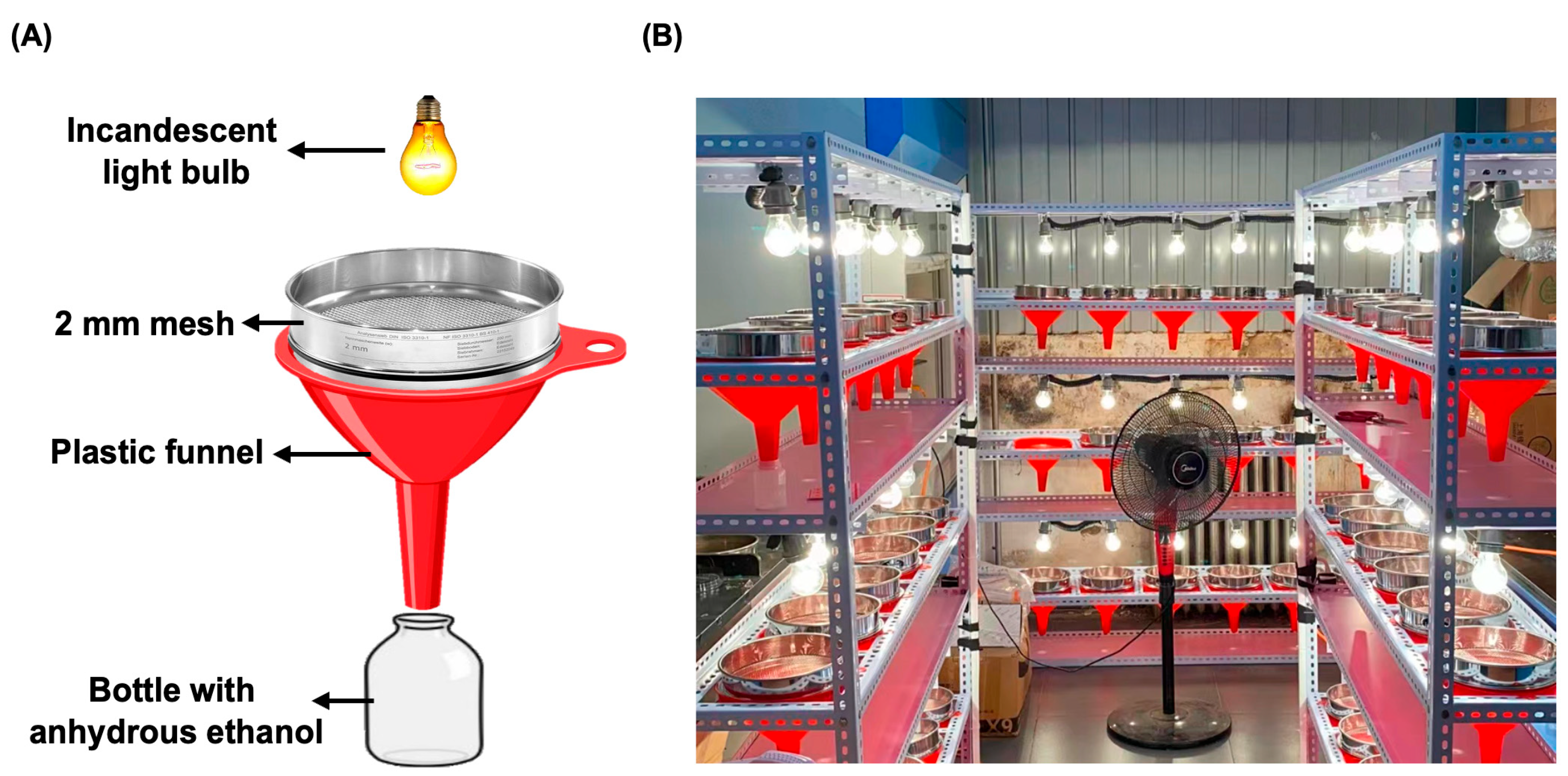Sustainability 17 06817 g002